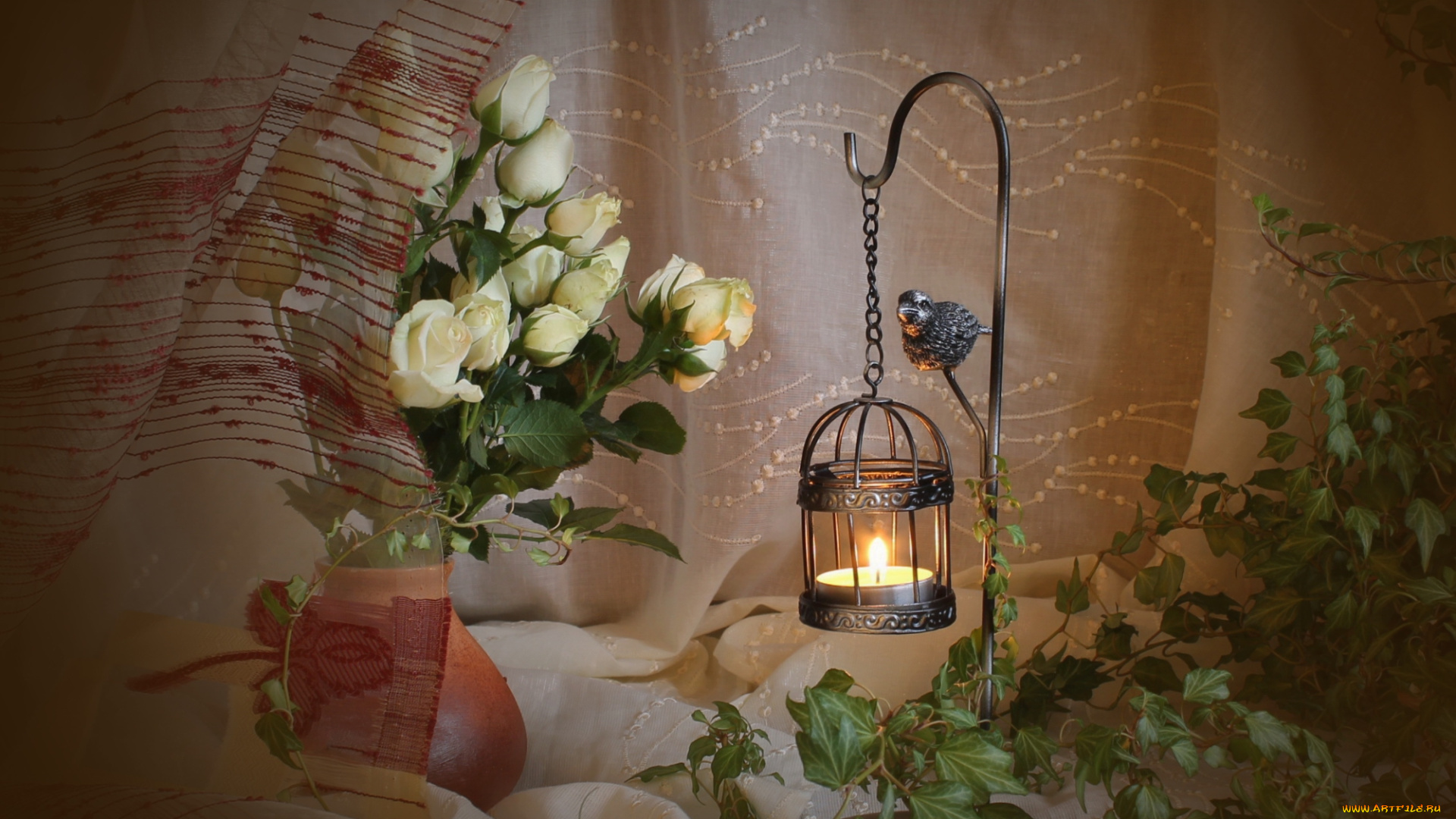 цветы, розы, клетка, букет