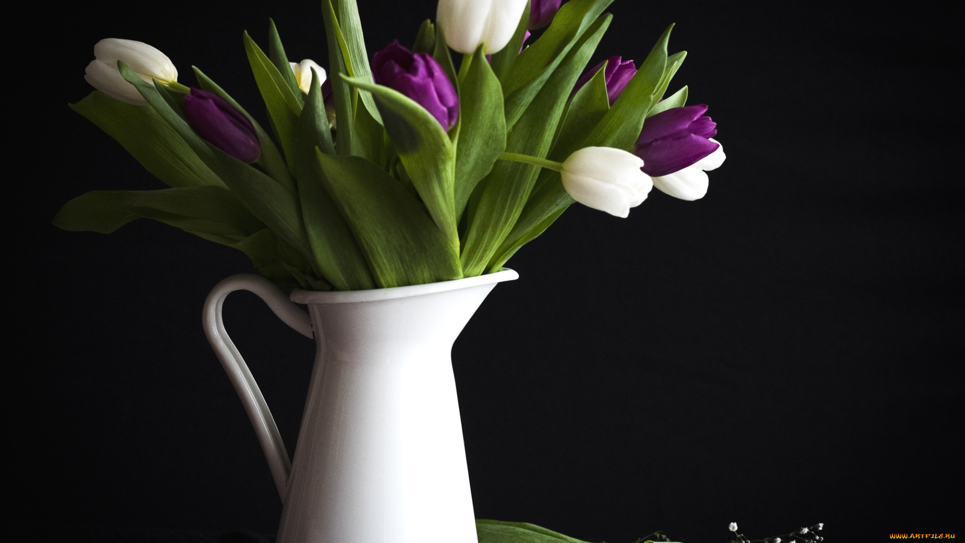 цветы, тюльпаны, кувшин