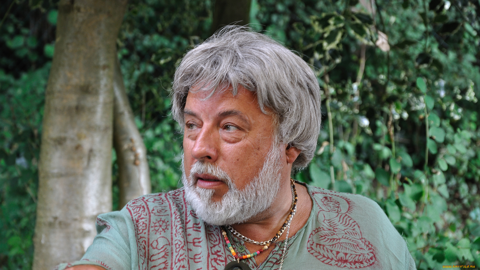 мужчины, -, unsort, колорит, лицо