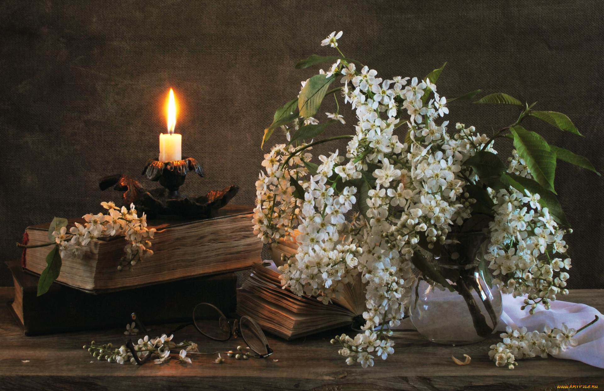 цветы, цветущие, деревья, , , кустарники, свеча, черемуха