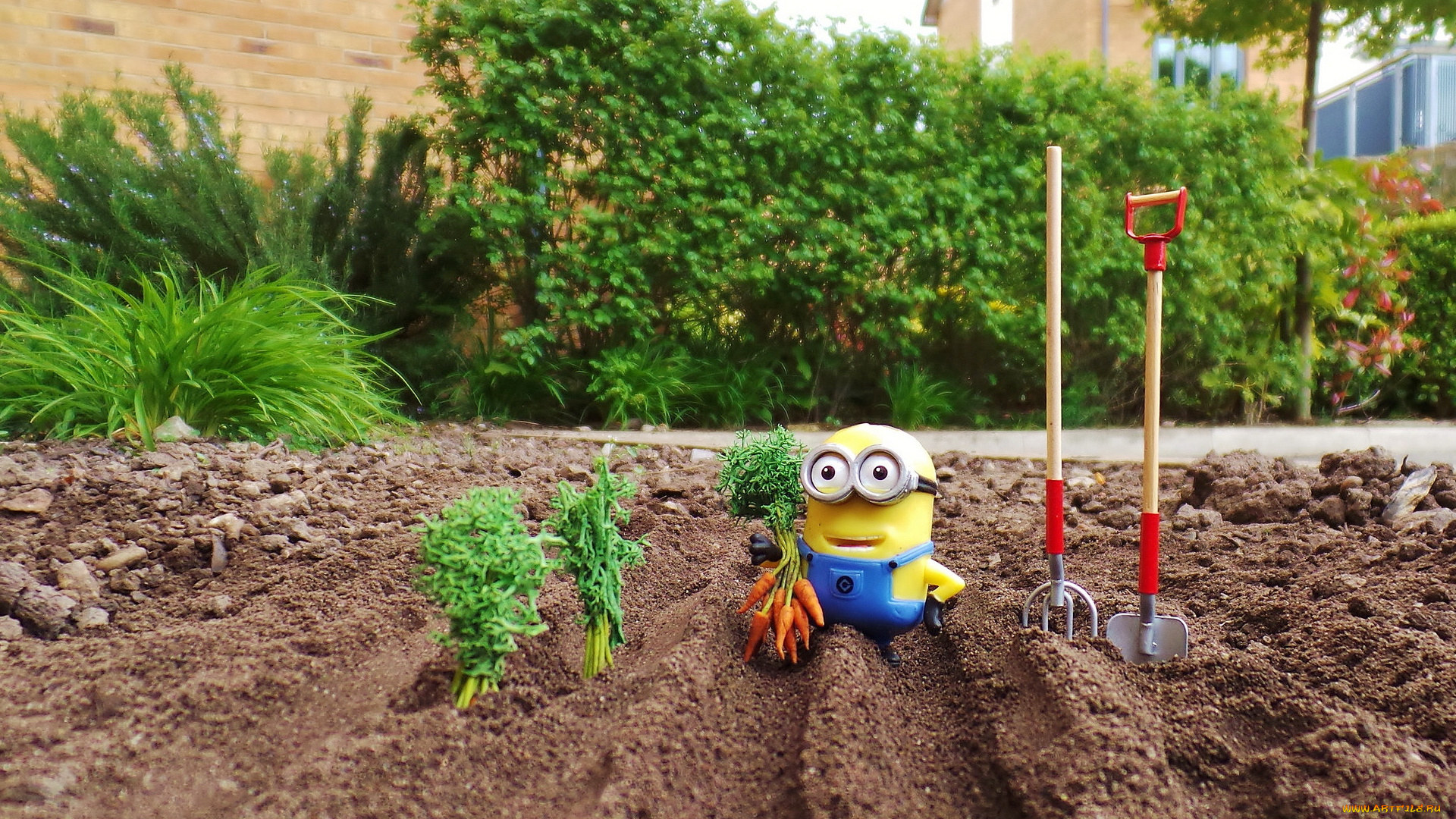 разное, игрушки, миньон