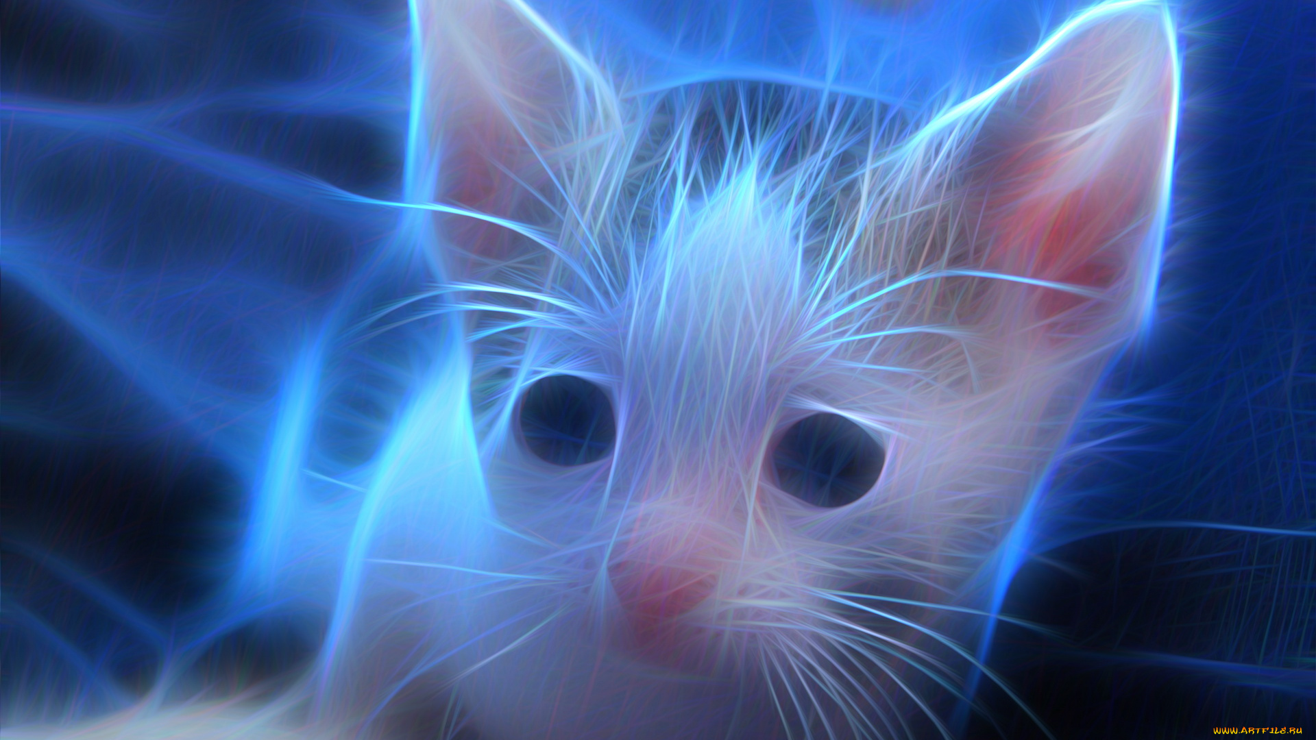 разное, компьютерный, дизайн, взгляд, кот, фон