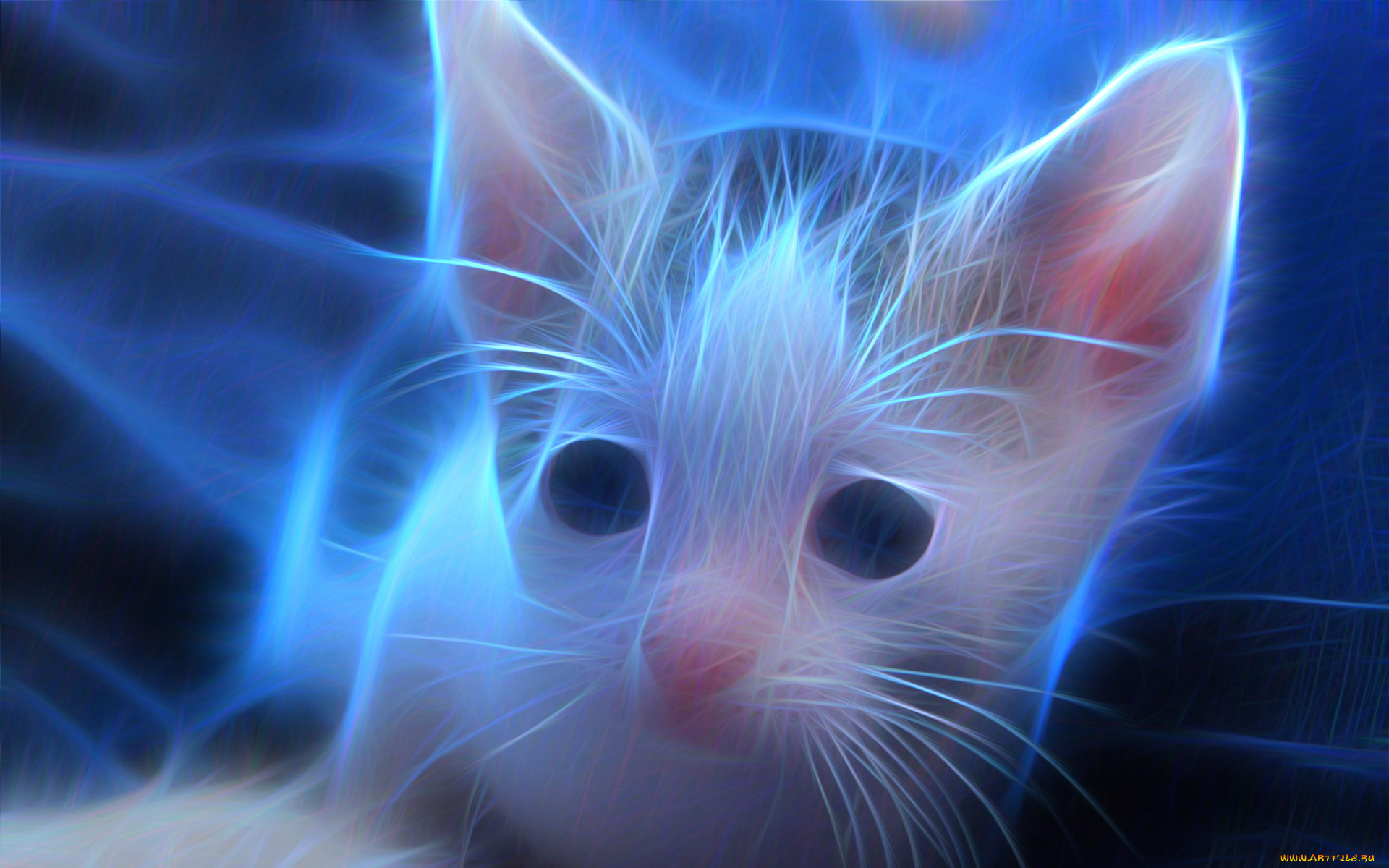 разное, компьютерный, дизайн, взгляд, кот, фон