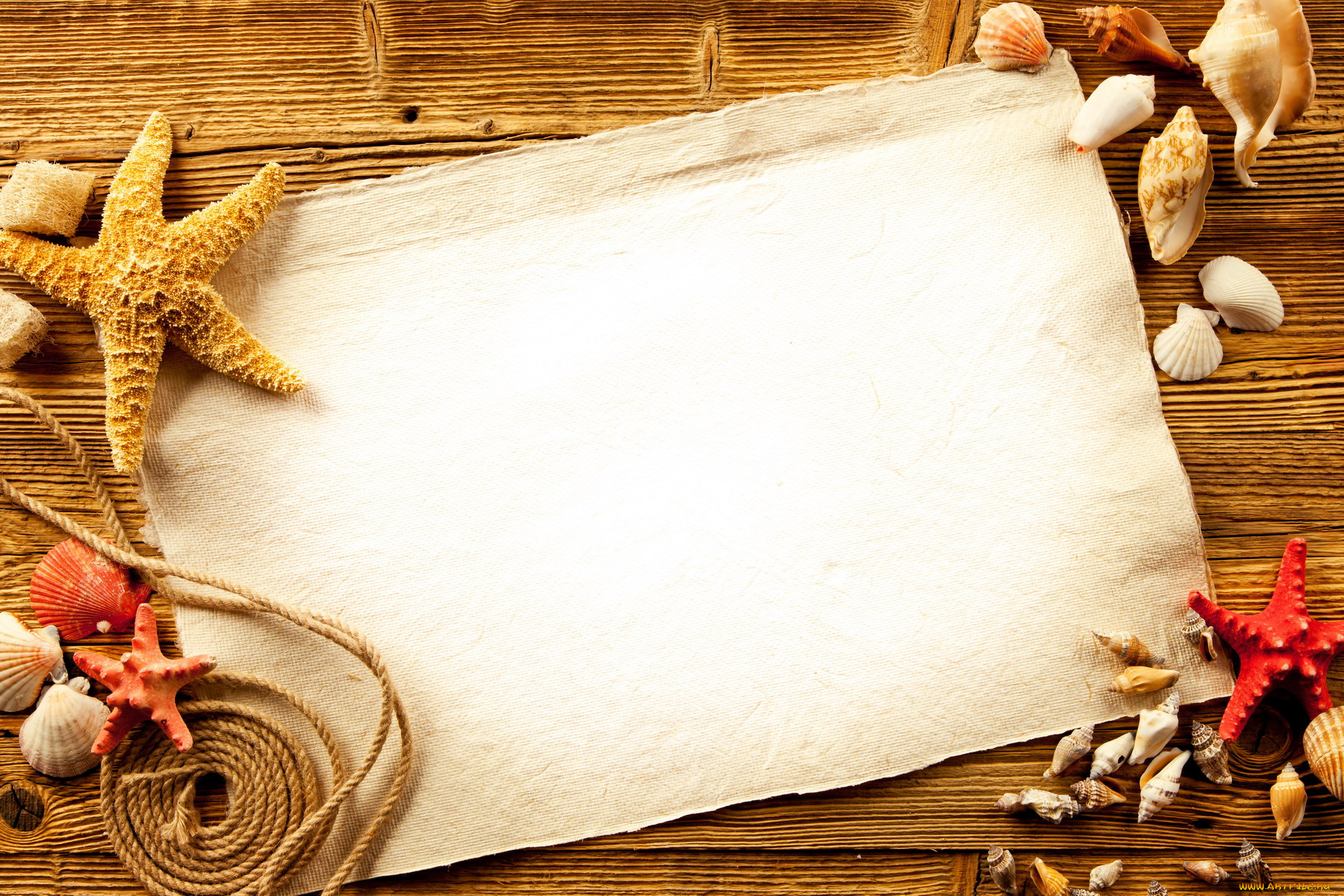 разное, ракушки, , кораллы, , декоративные, и, spa-камни, морские, звезды