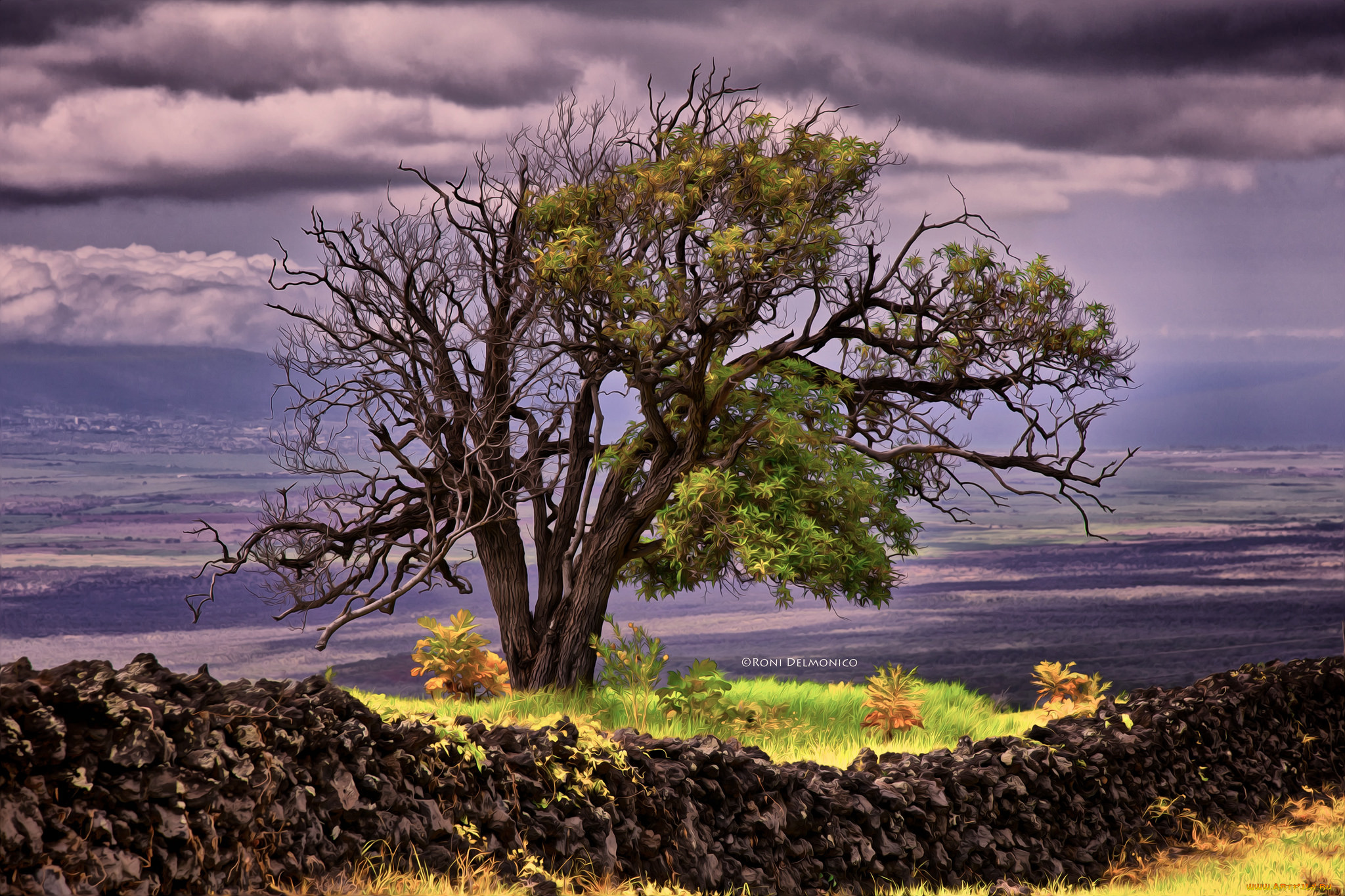 разное, компьютерный, дизайн, дерево, природа, обработка