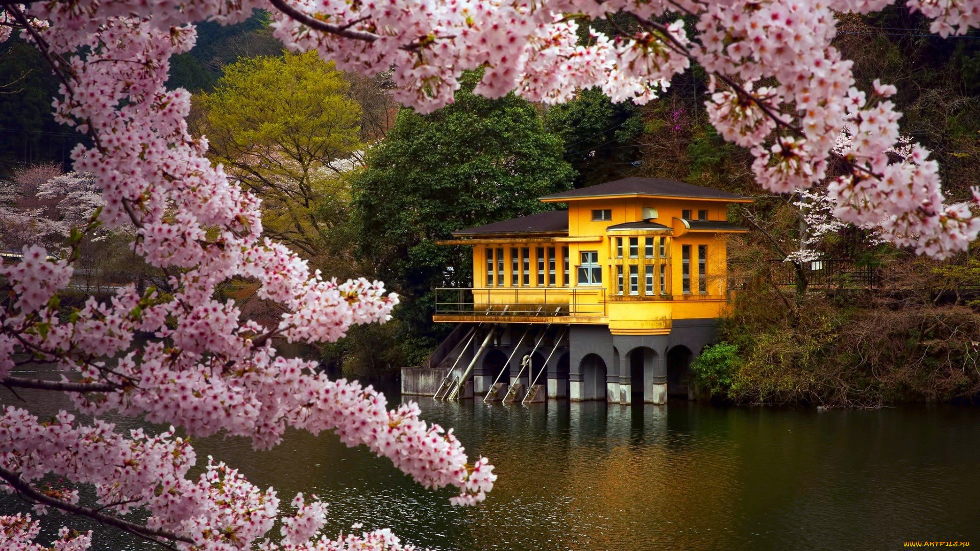 города, -, пейзажи, цветение, весна, деревья, озеро, коттедж, домик