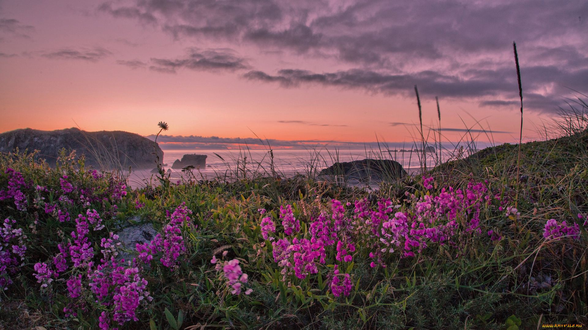 природа, побережье, берег, море