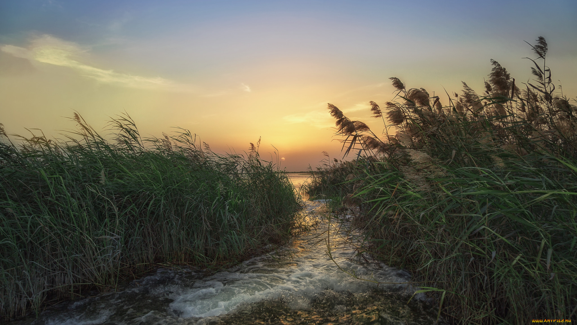 природа, побережье, берег, море