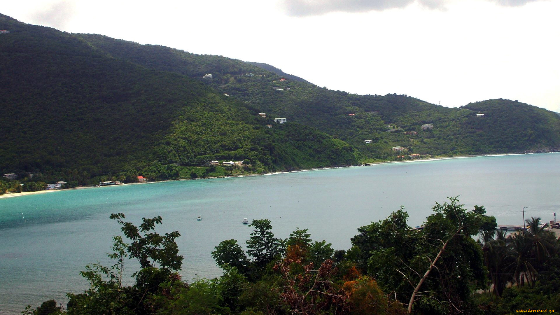 природа, реки, озера, деревья, горы, река