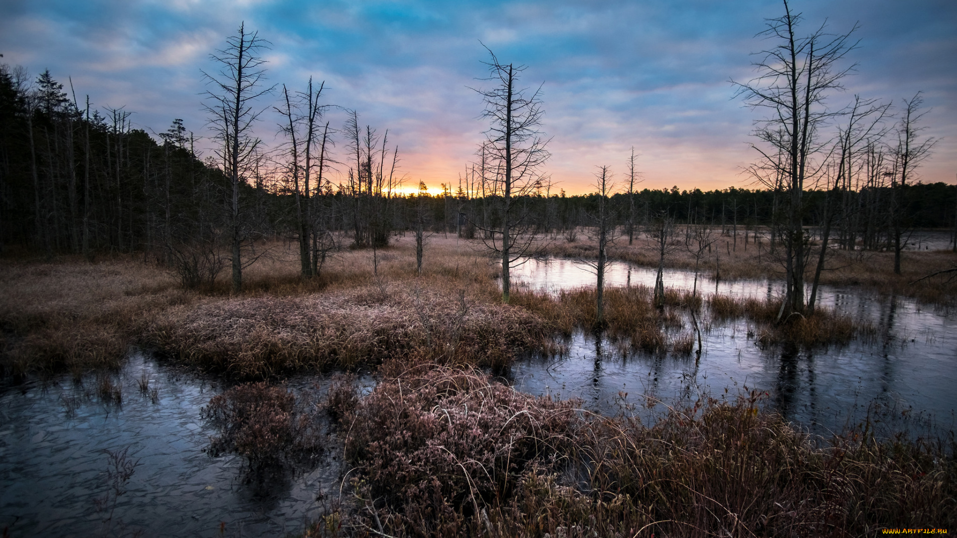 природа, реки, озера, лес, река