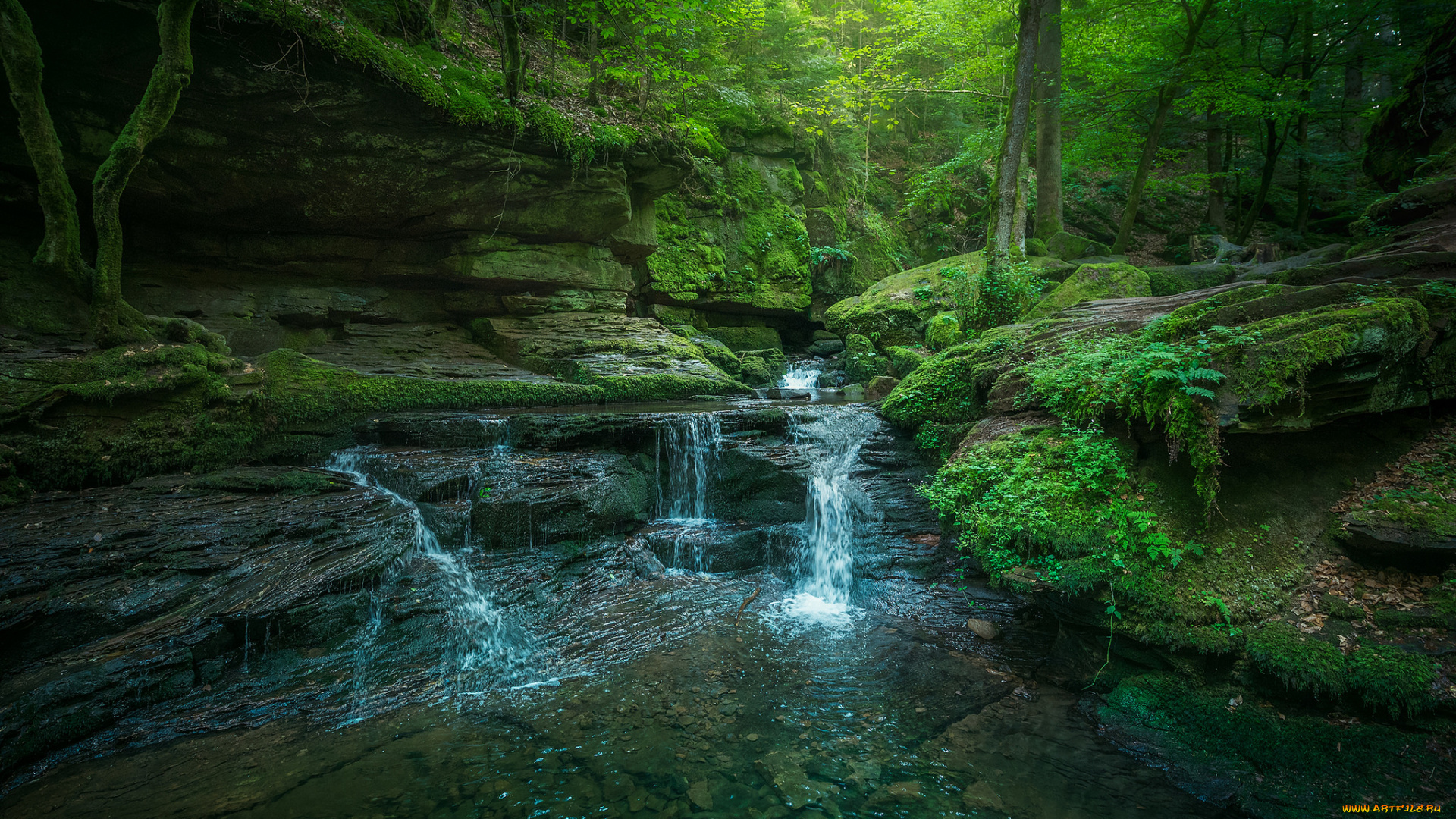 природа, водопады, лес, река, водопад