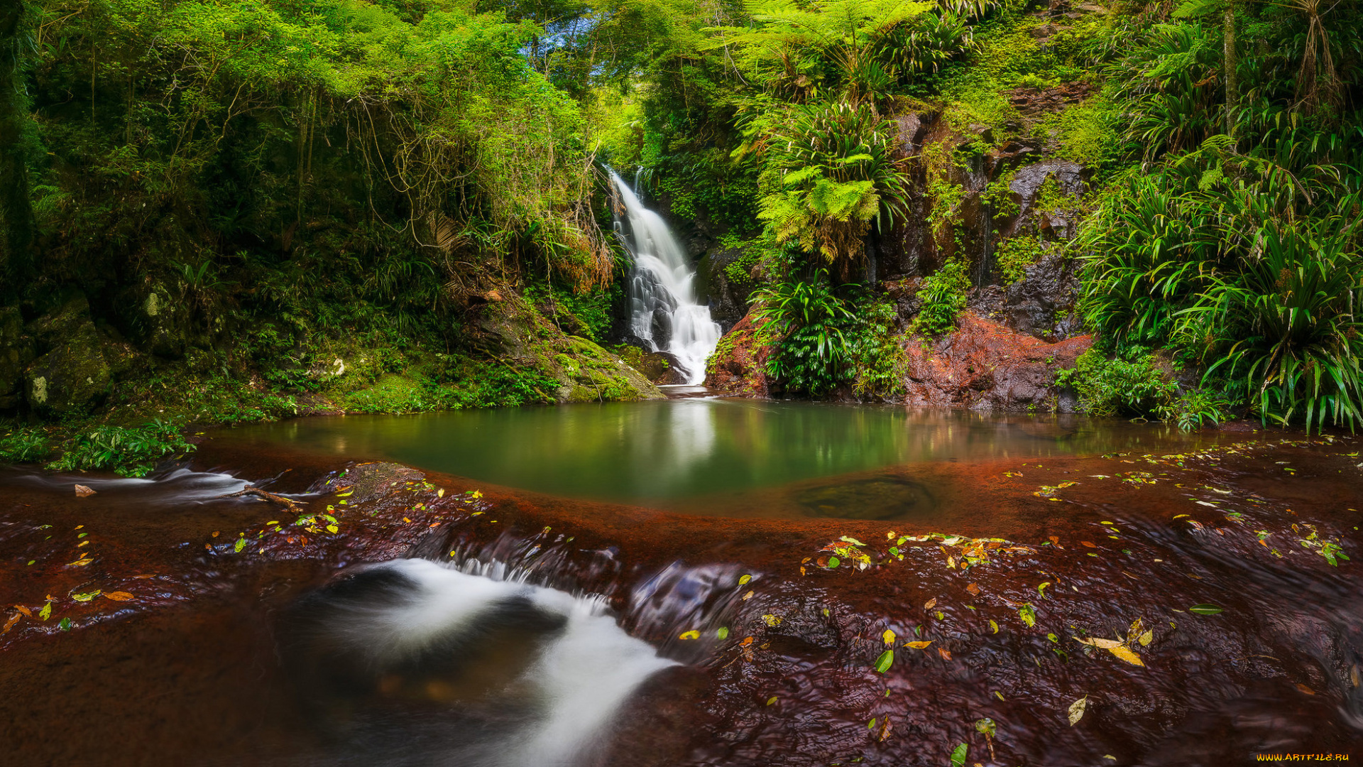 природа, водопады, лес, водопад, река