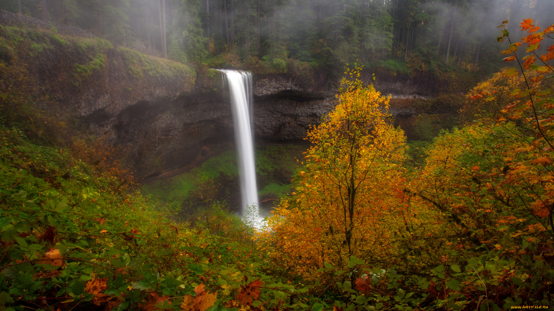 природа, водопады, река, водопад, лес