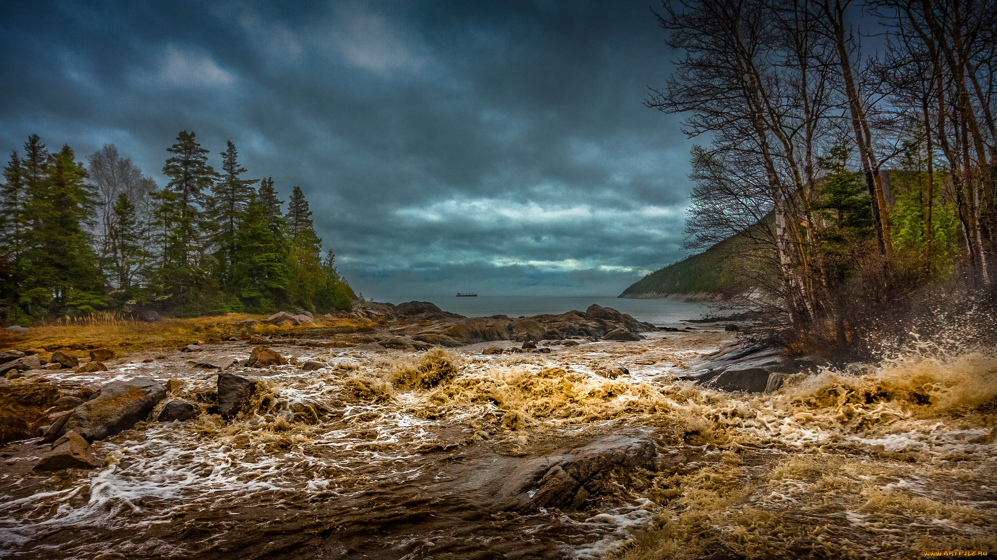 природа, побережье, берег, море