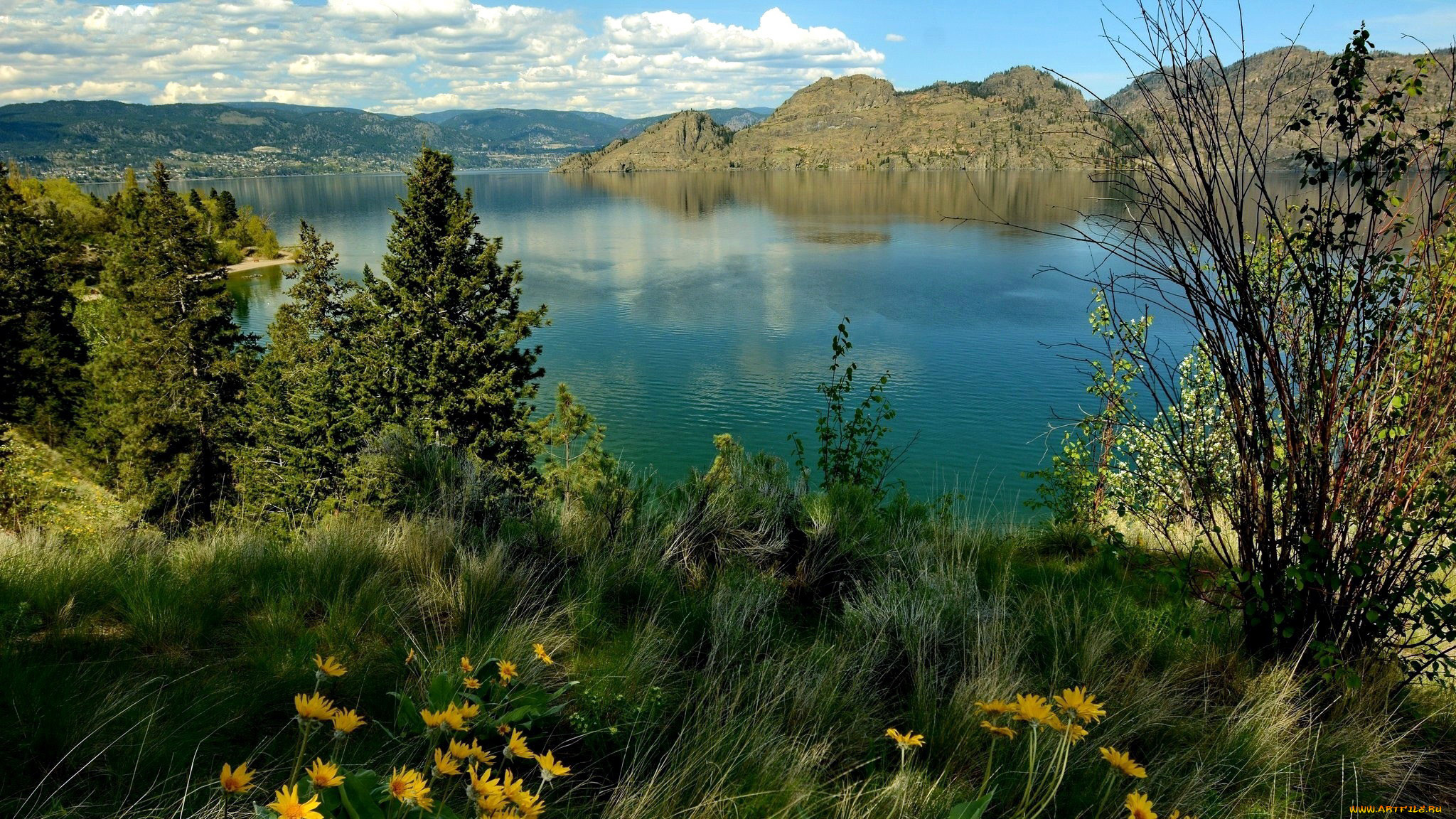 природа, реки, озера, трава, цветы, озеро, горы