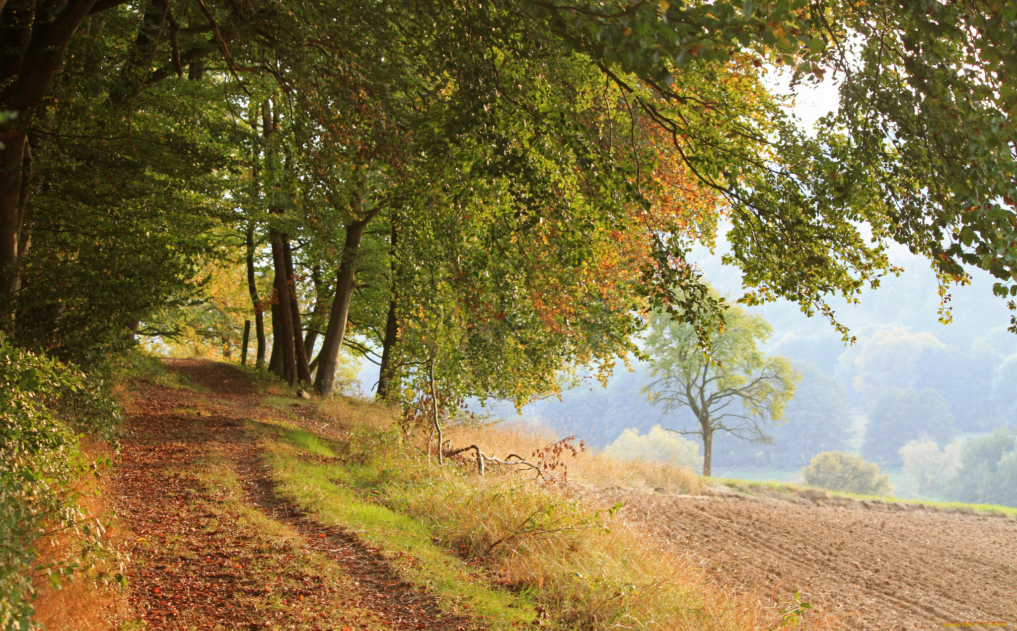 природа, дороги, тракт