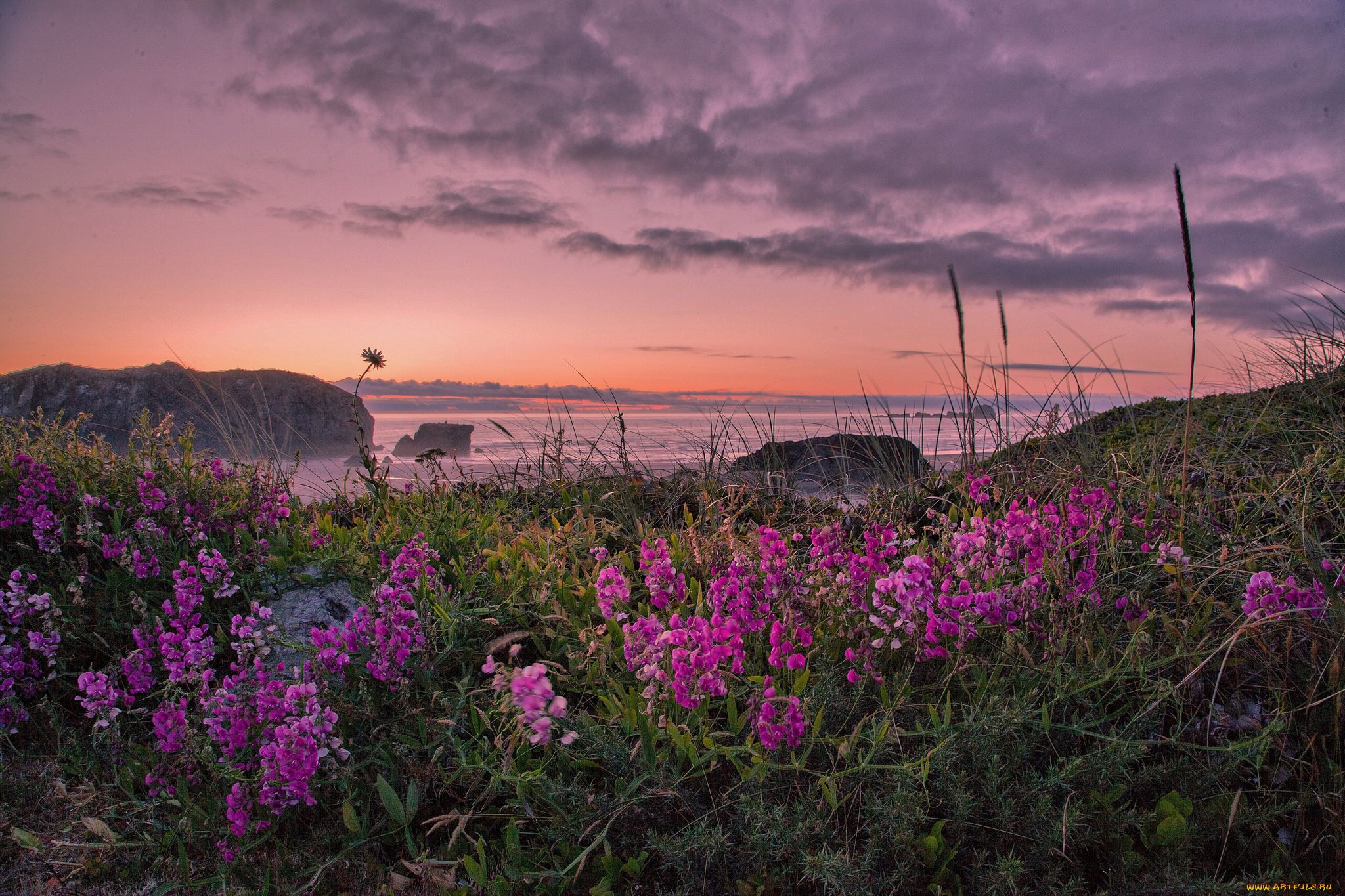 природа, побережье, берег, море