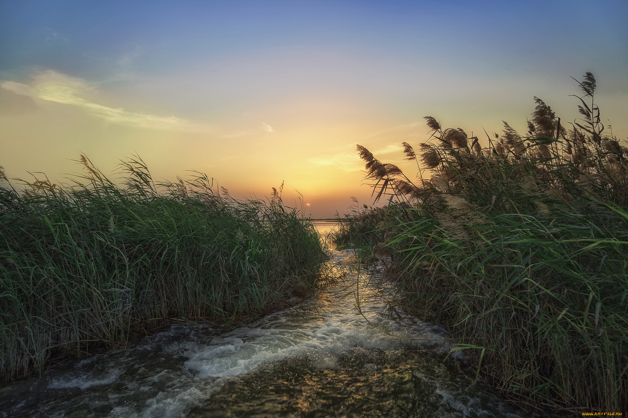 природа, побережье, берег, море