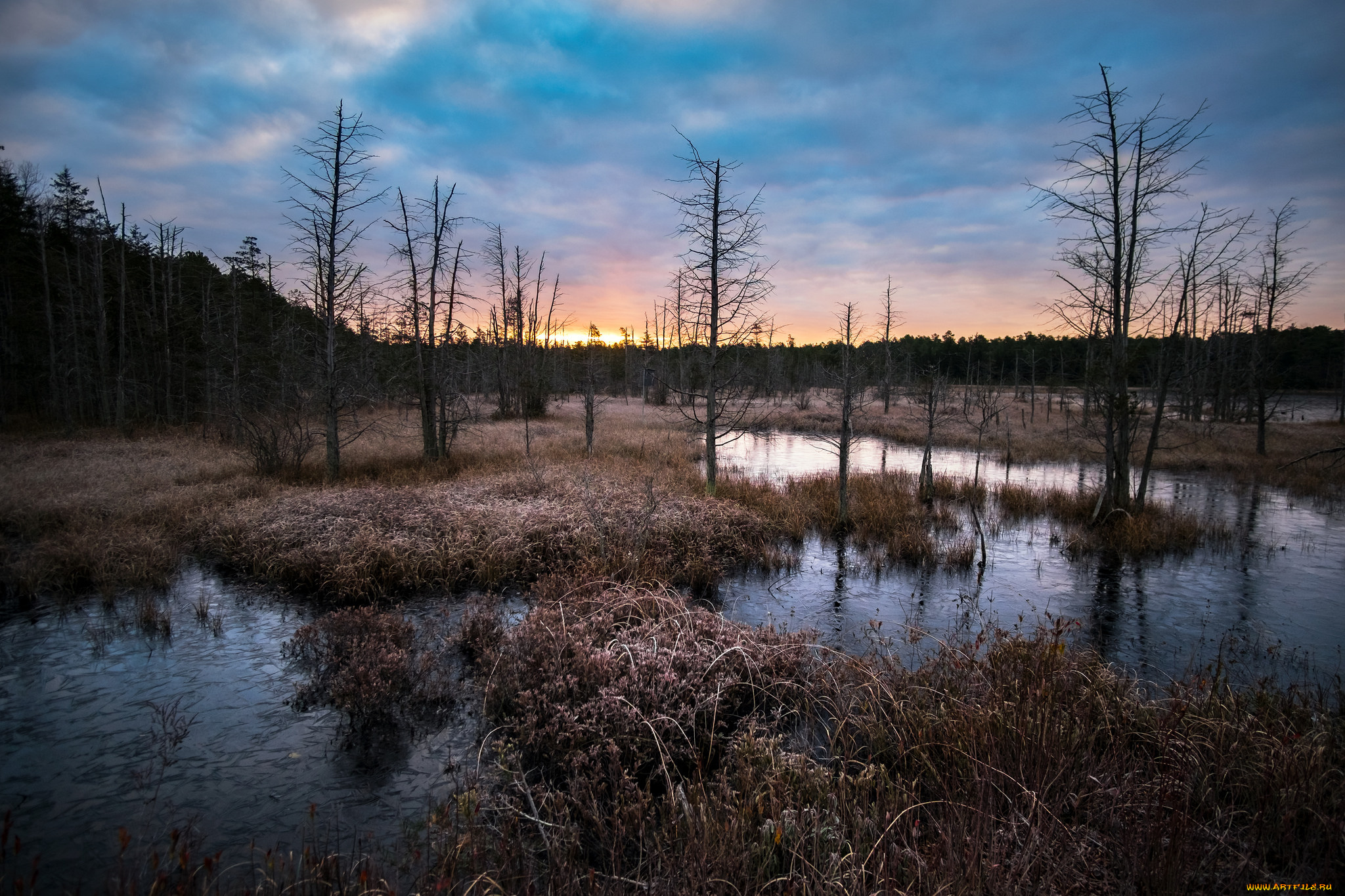 природа, реки, озера, лес, река