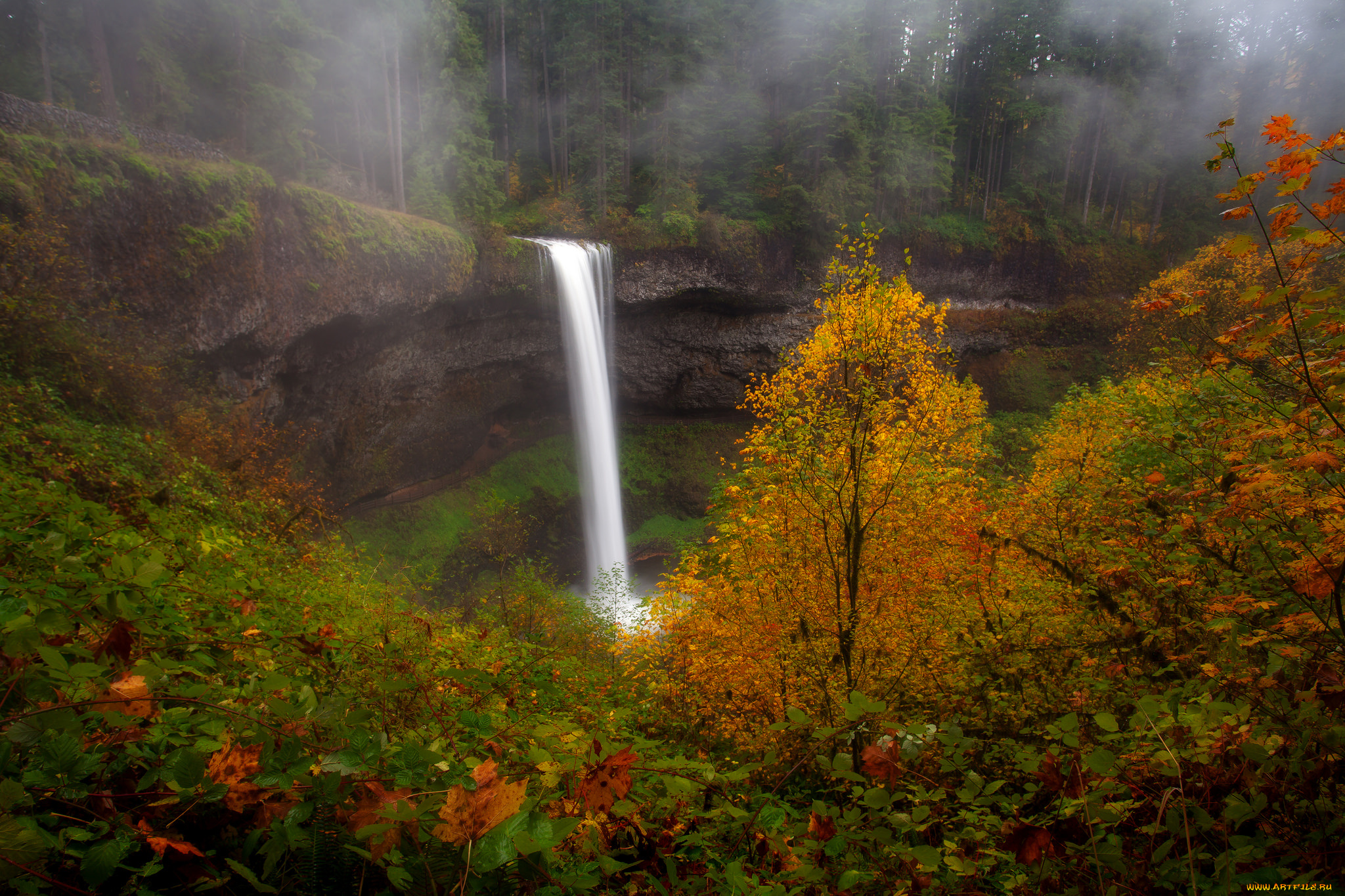 природа, водопады, река, водопад, лес