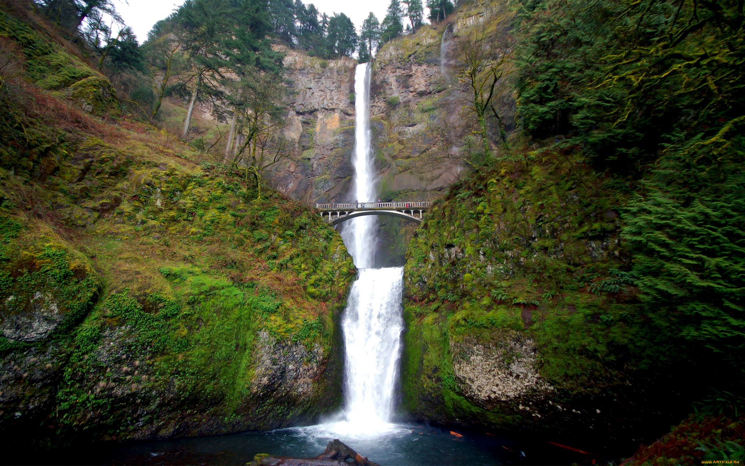 природа, водопады, мостик, вода, поток