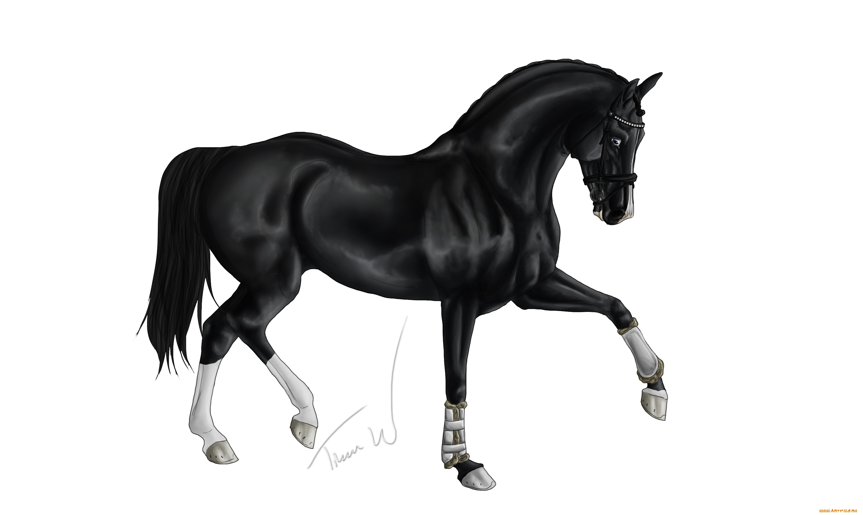 рисованное, животные, , лошади, лошадь