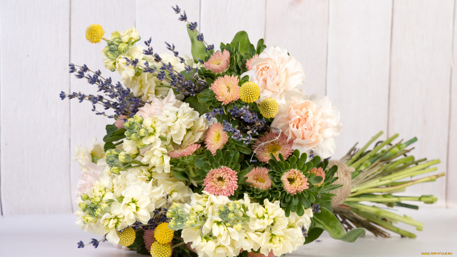 цветы, букеты, , композиции, гвоздика, астра, левкой, букет, лаванда