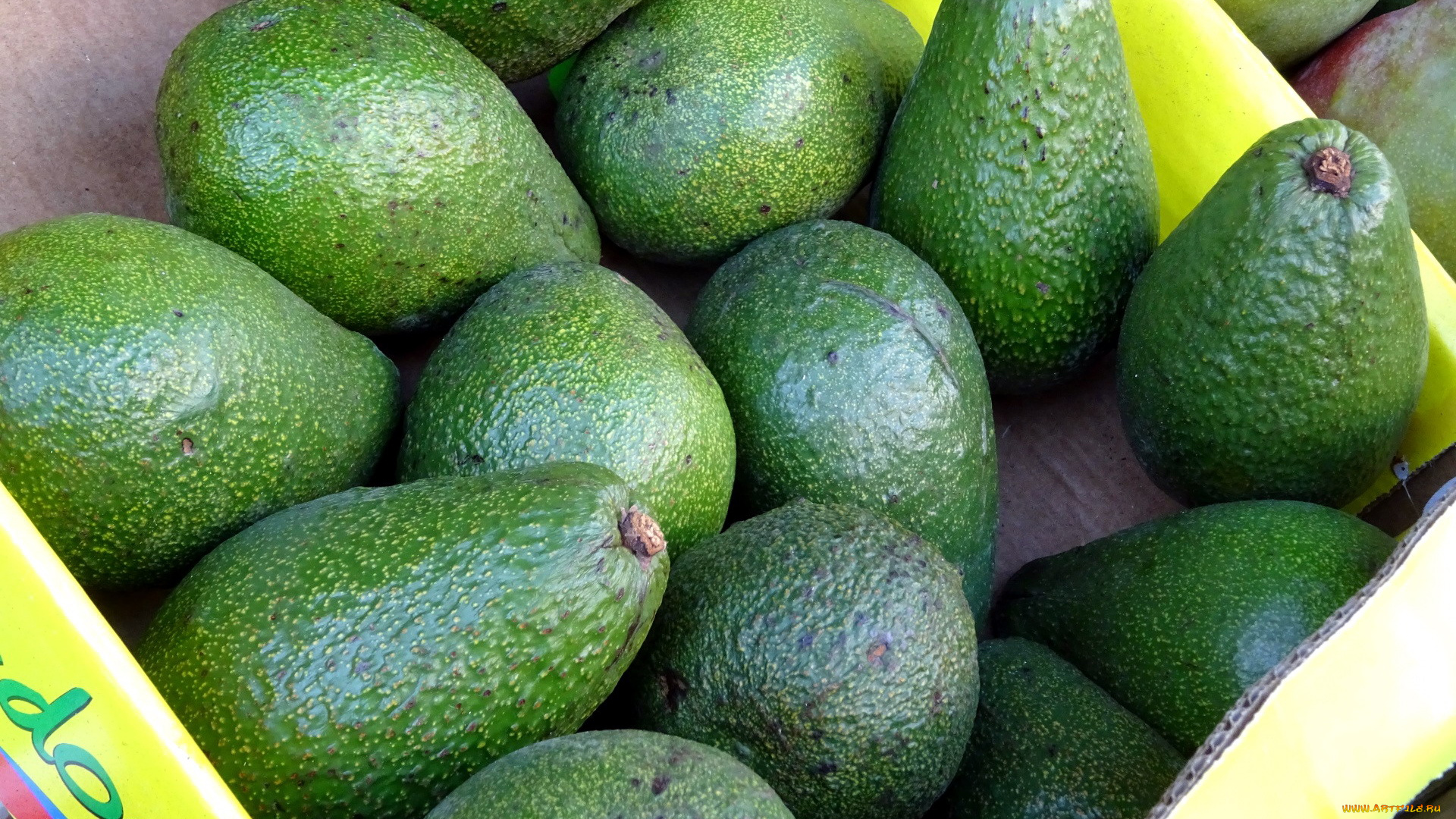 еда, авокадо, фрукт