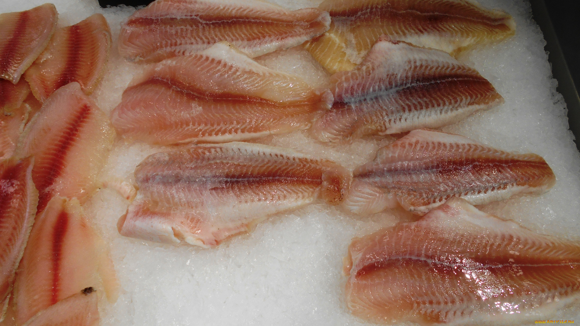 еда, рыба, , морепродукты, , суши, , роллы