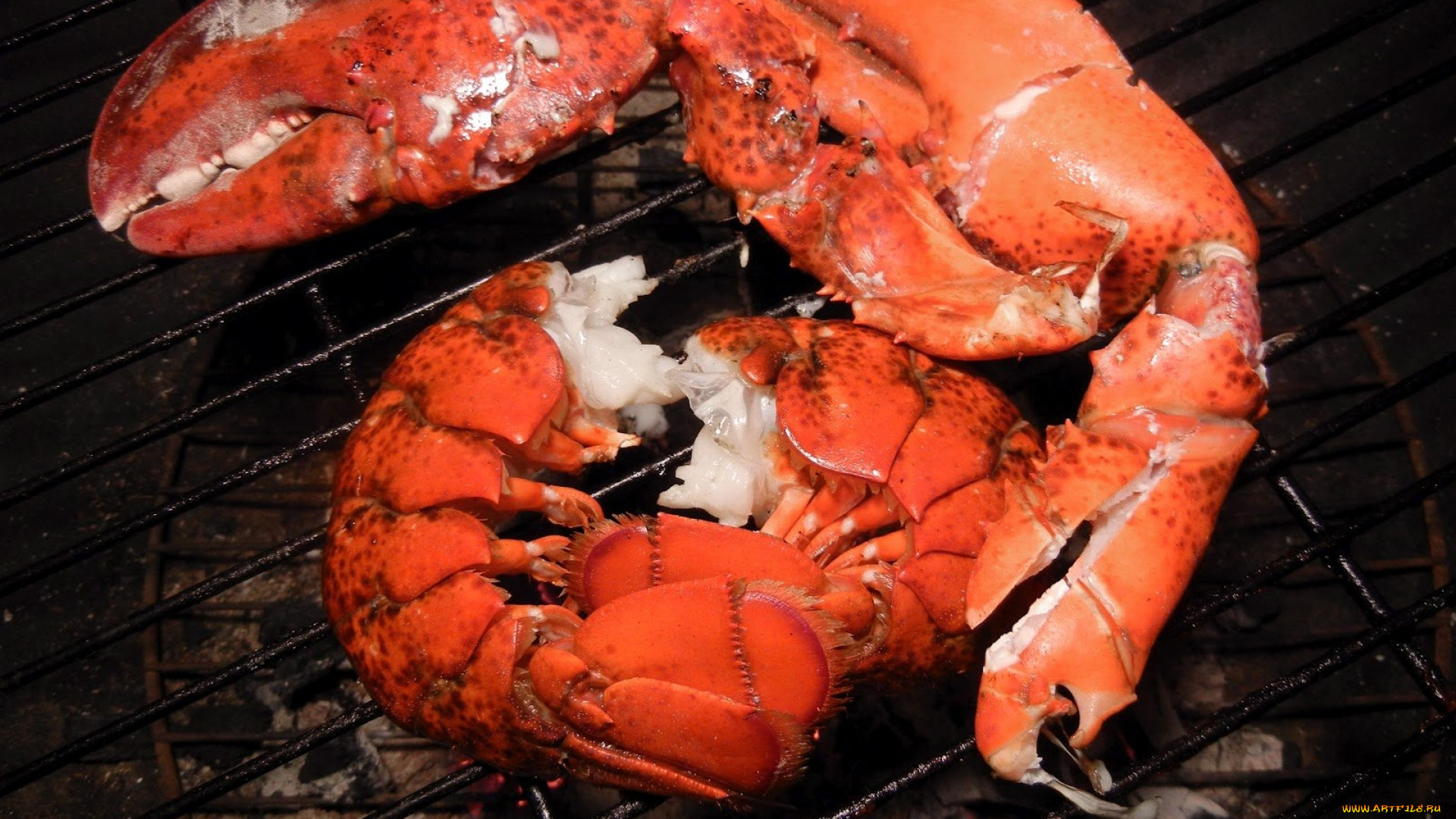 еда, рыба, , морепродукты, , суши, , роллы, лобстер