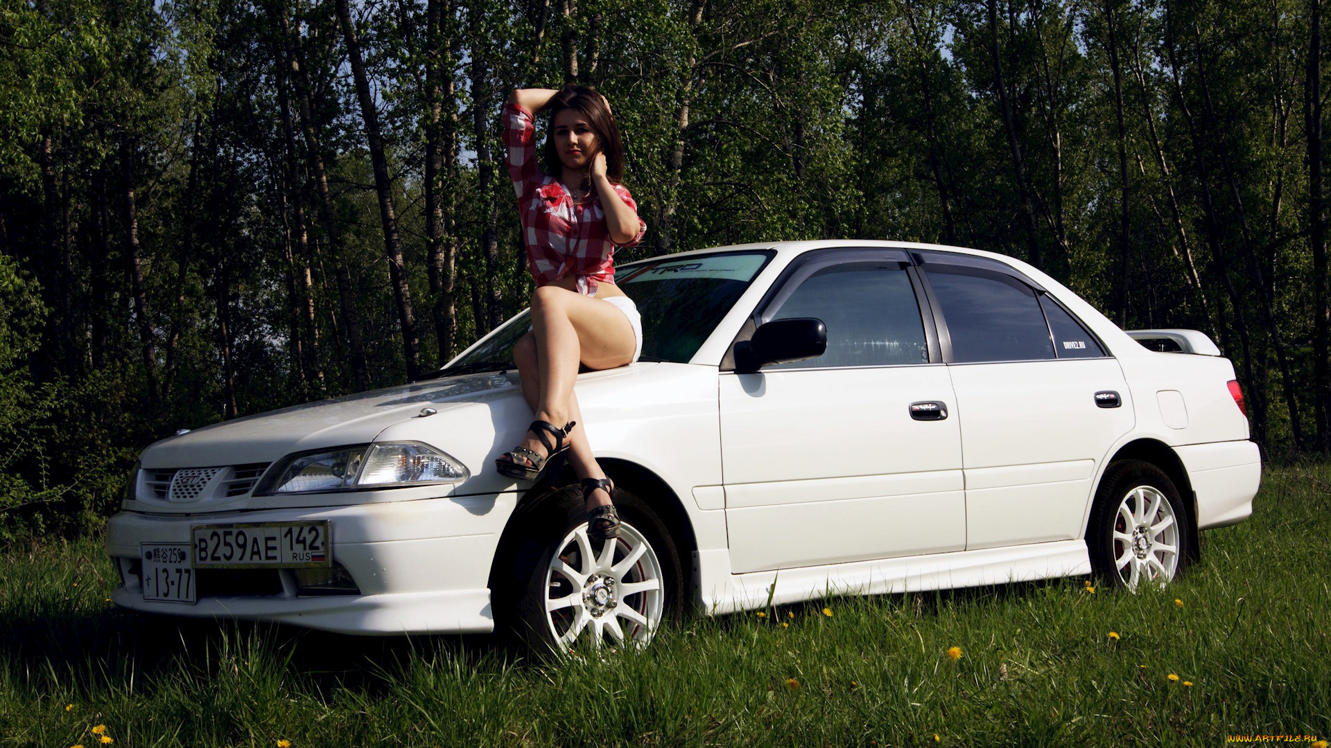 мария, и, toyota, carina, автомобили, -авто, с, девушками, мария, women, with, cars, природа, седан, белый, toyota, carina