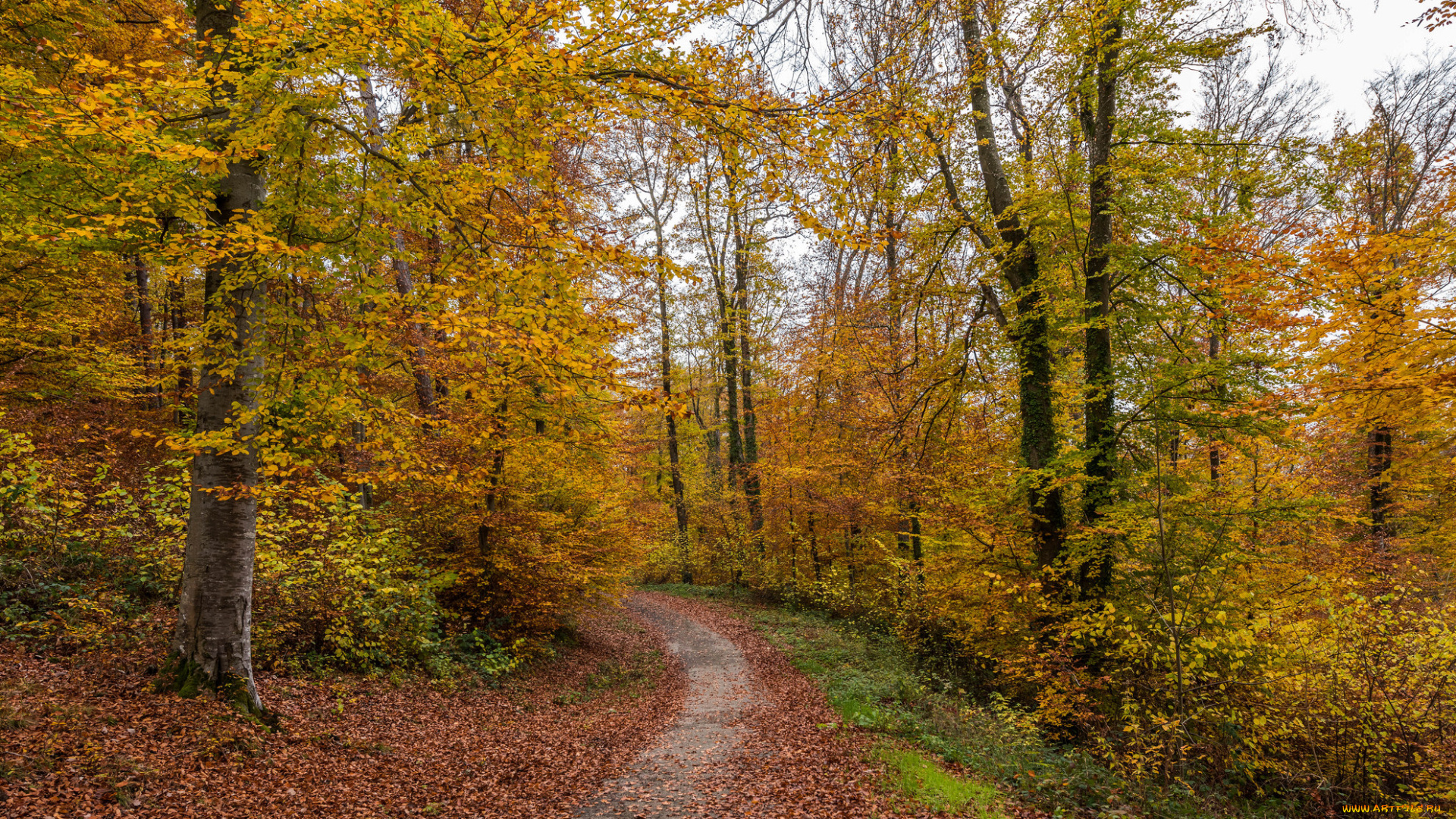 природа, дороги, простор