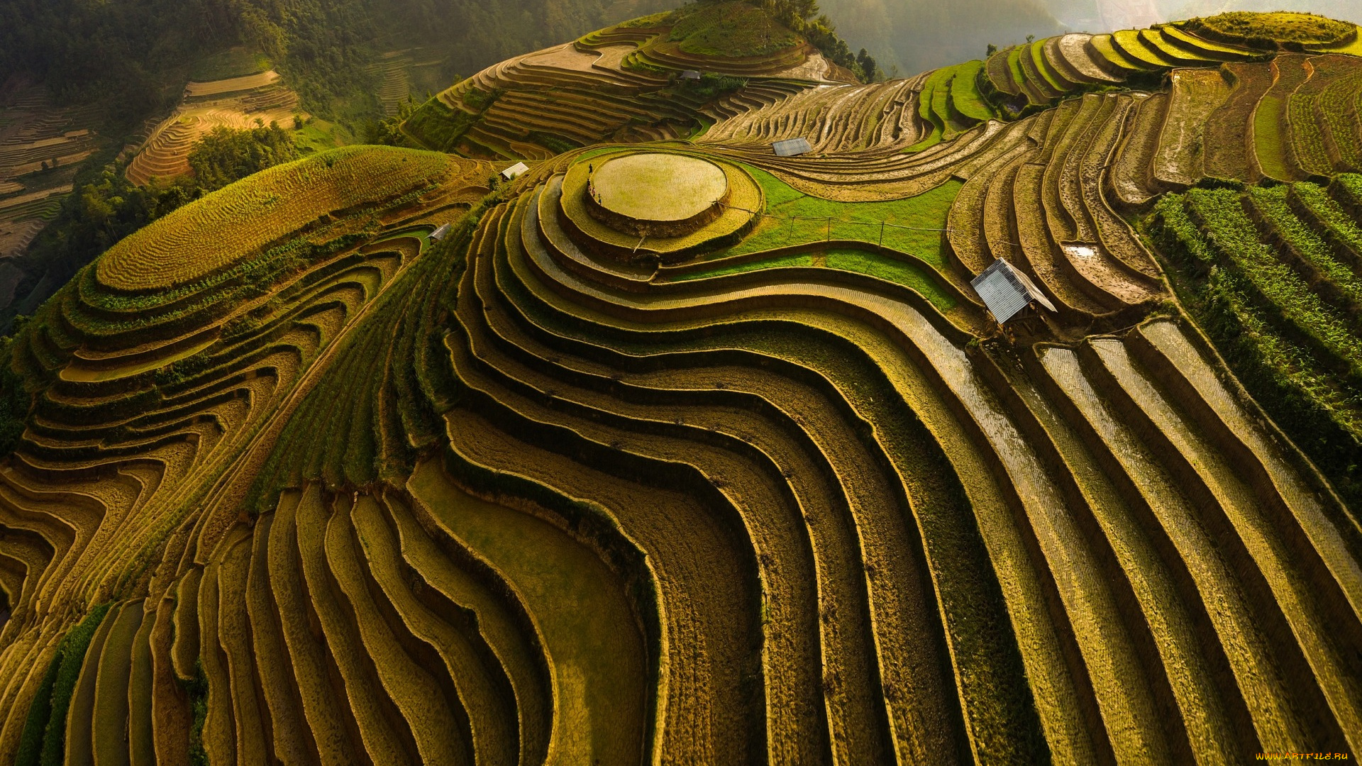 природа, поля, ступени, склоны