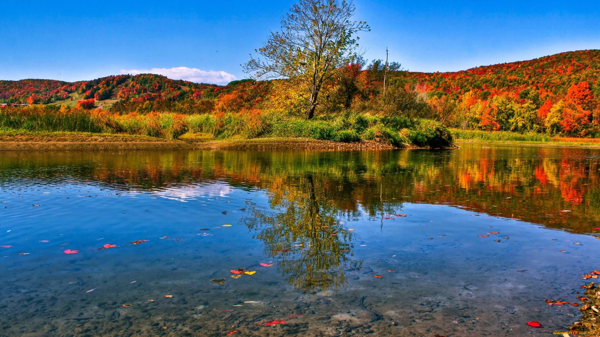 природа, реки, озера, берег, озеро, осень, деревья, холмы