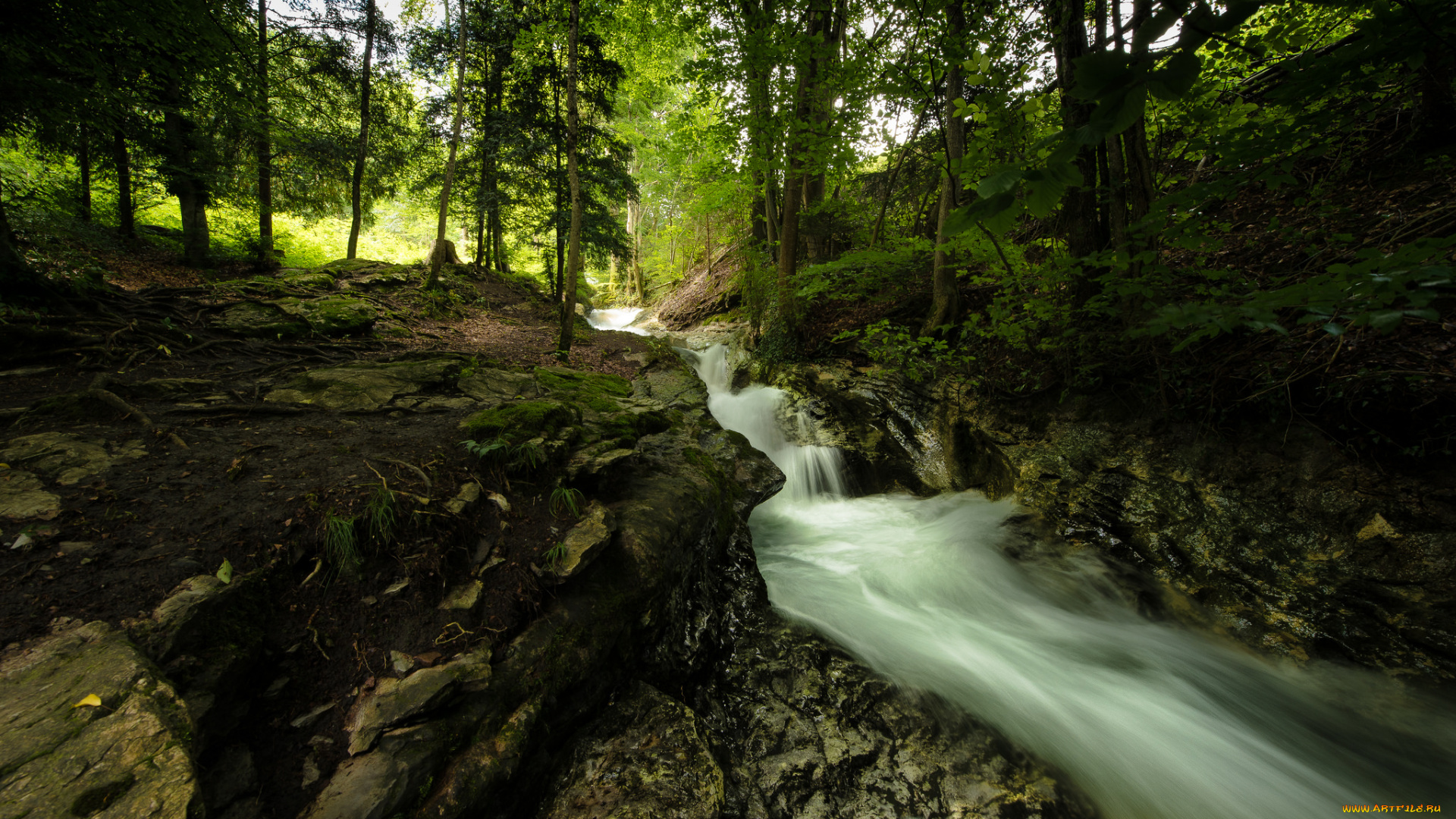 природа, реки, озера, простор