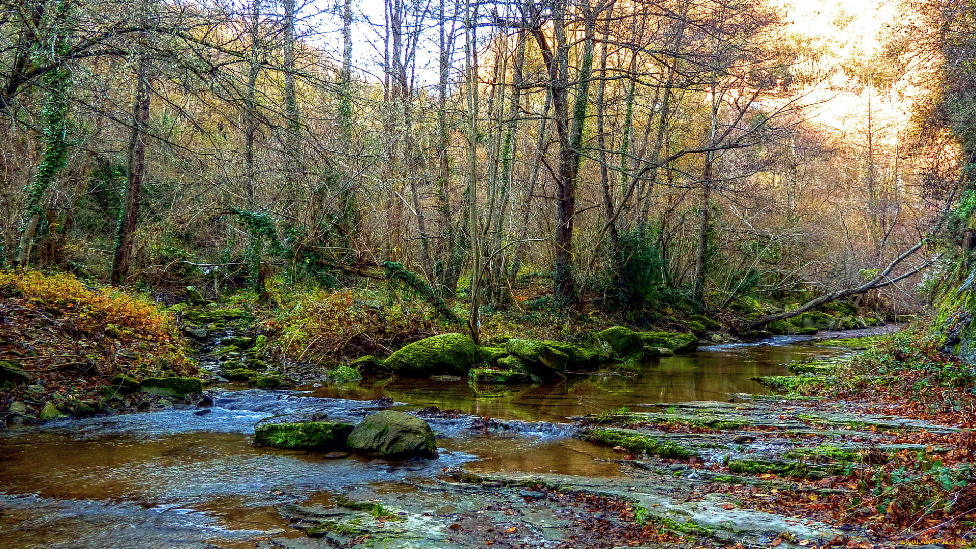 природа, реки, озера, простор