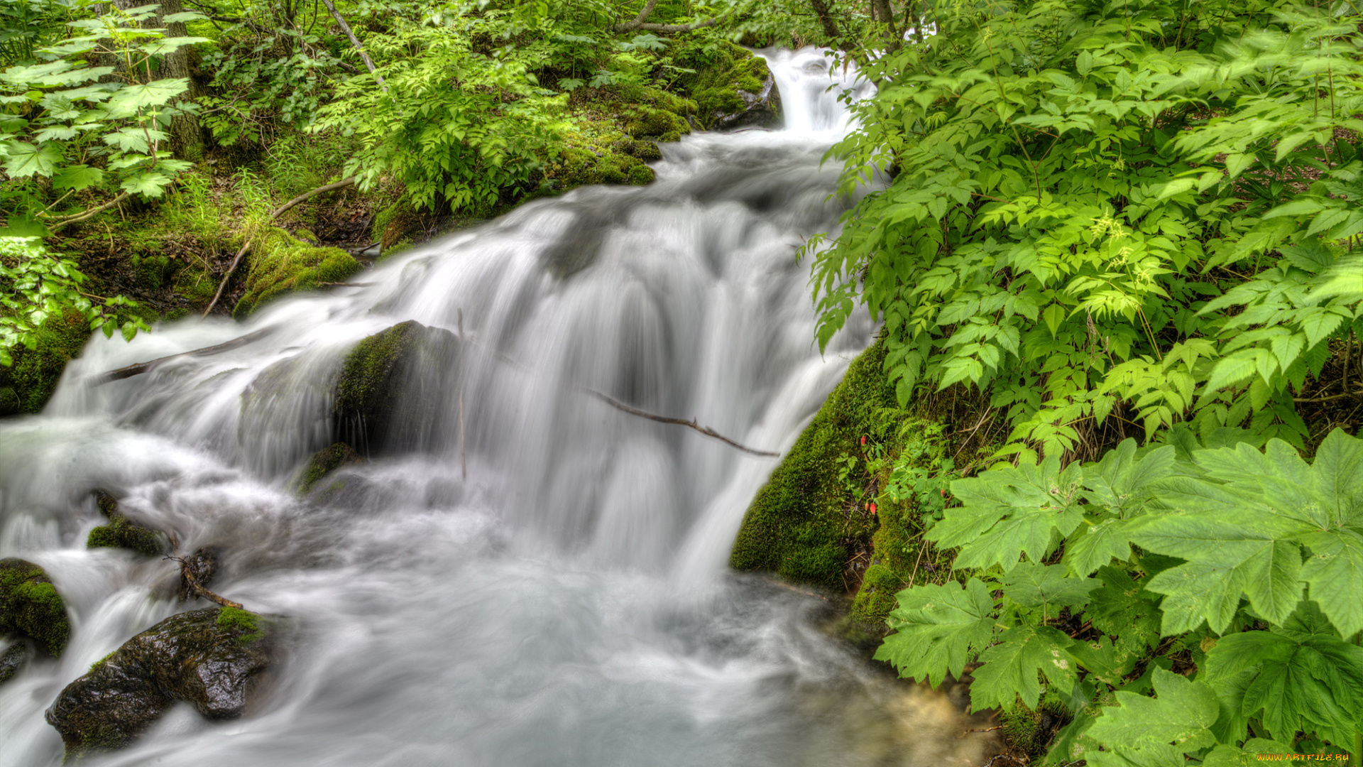 природа, реки, озера, простор