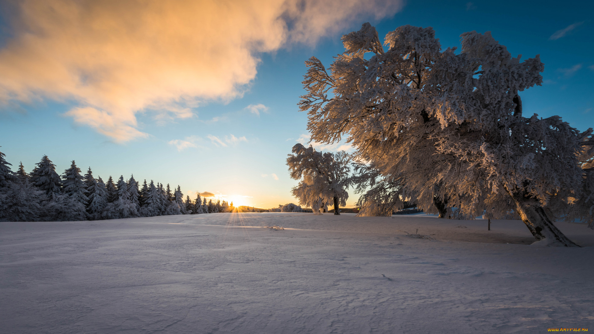 природа, зима, простор