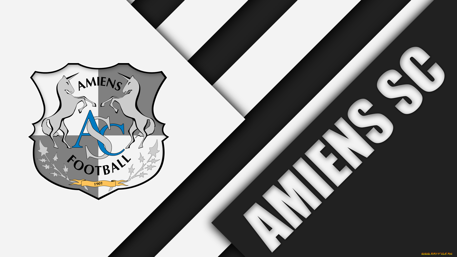 спорт, эмблемы, клубов, фон, логотип