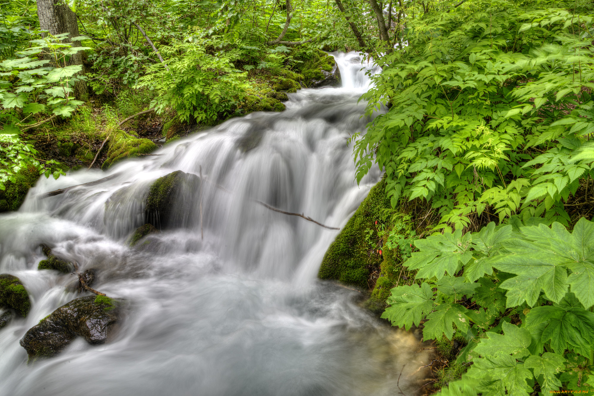 природа, реки, озера, простор