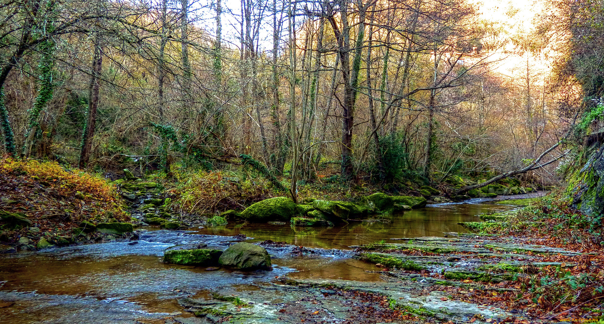 природа, реки, озера, простор