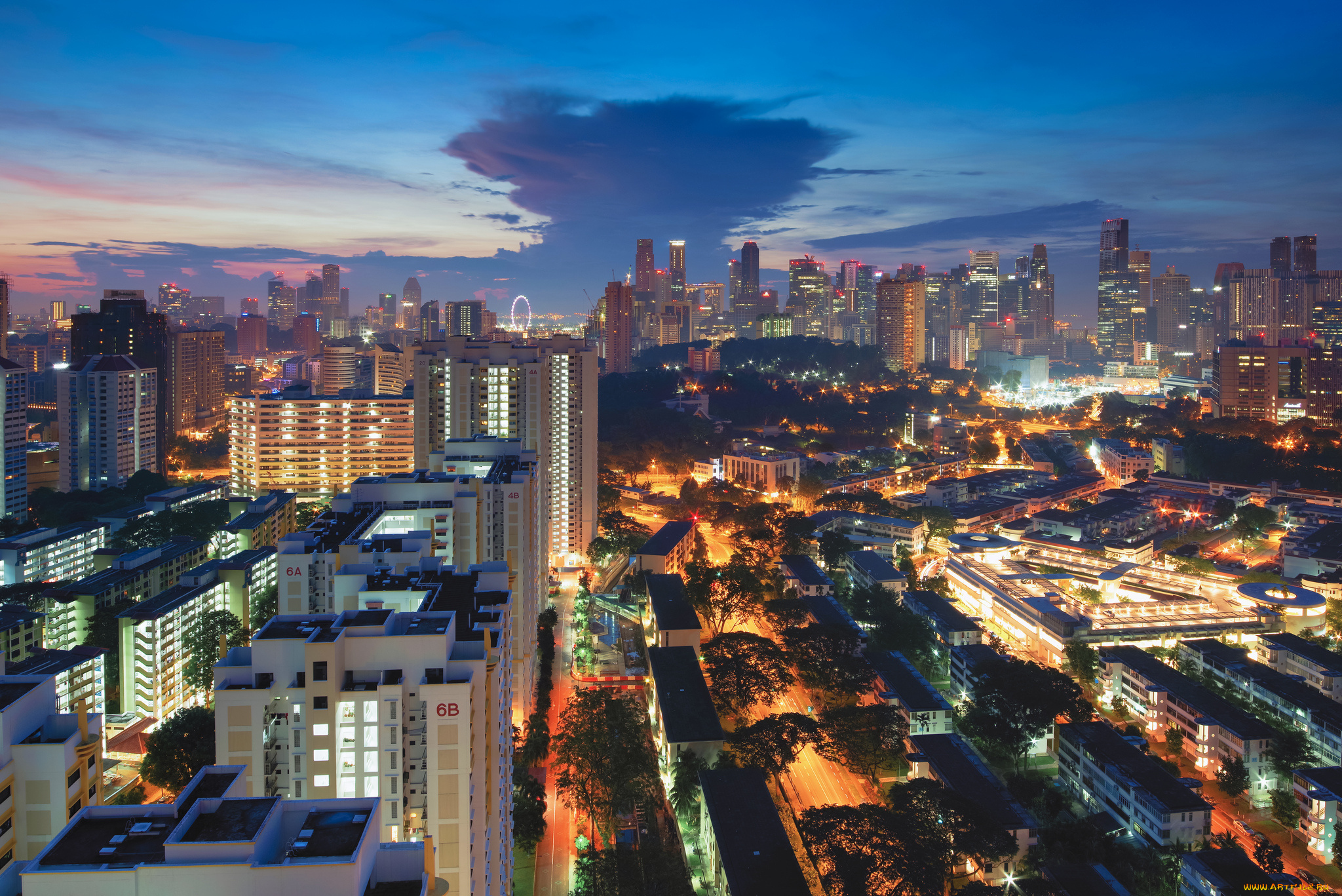 города, -, огни, ночного, города, простор