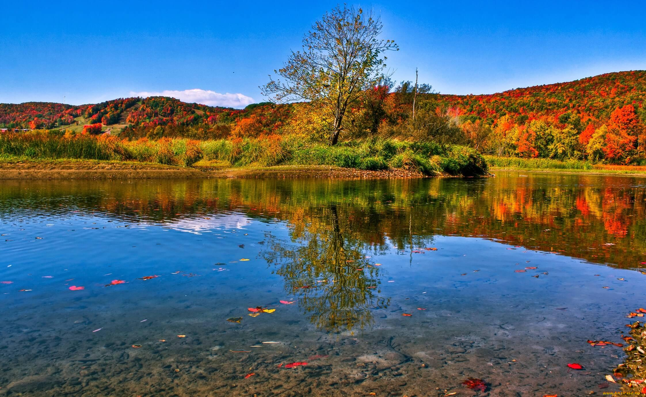 природа, реки, озера, берег, озеро, осень, деревья, холмы