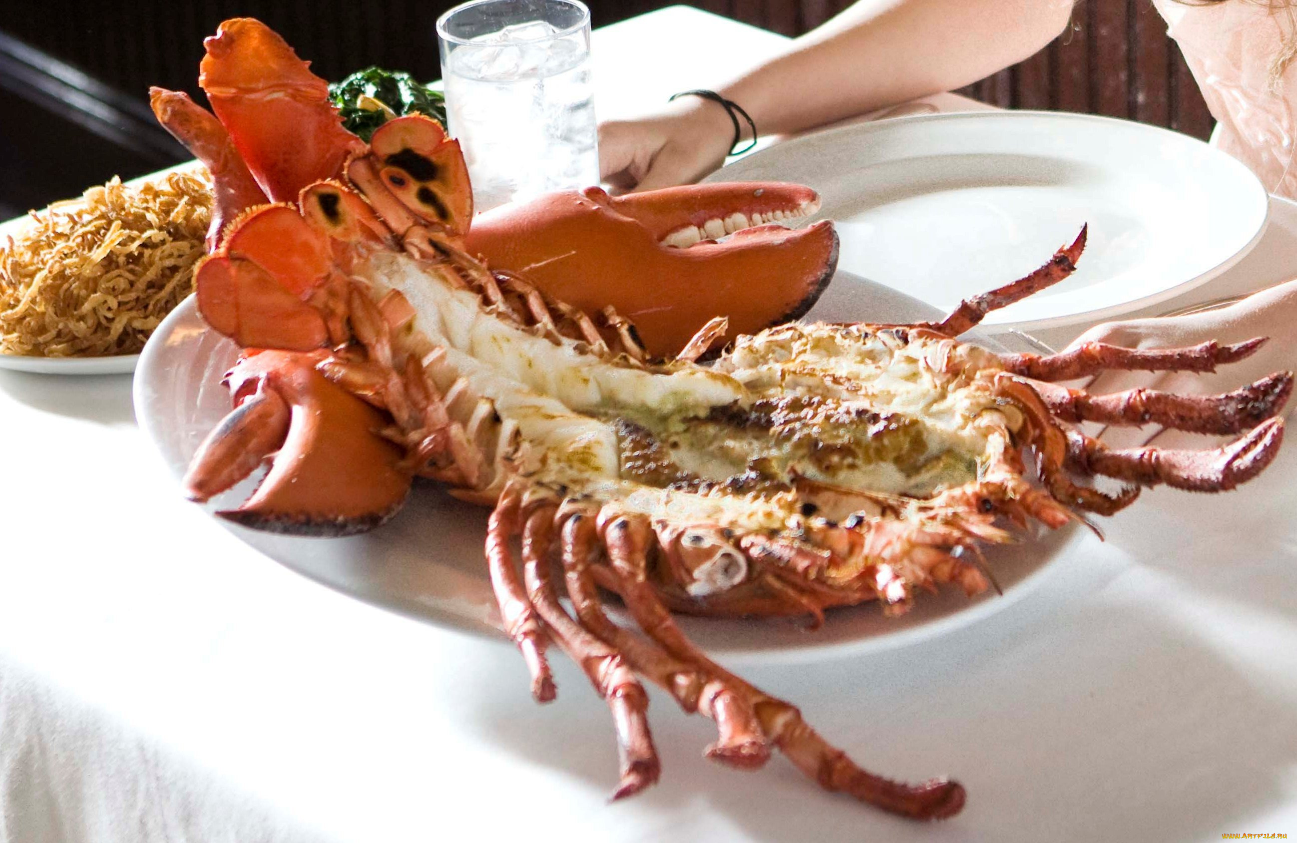 еда, рыбные, блюда, , с, морепродуктами, лобстер