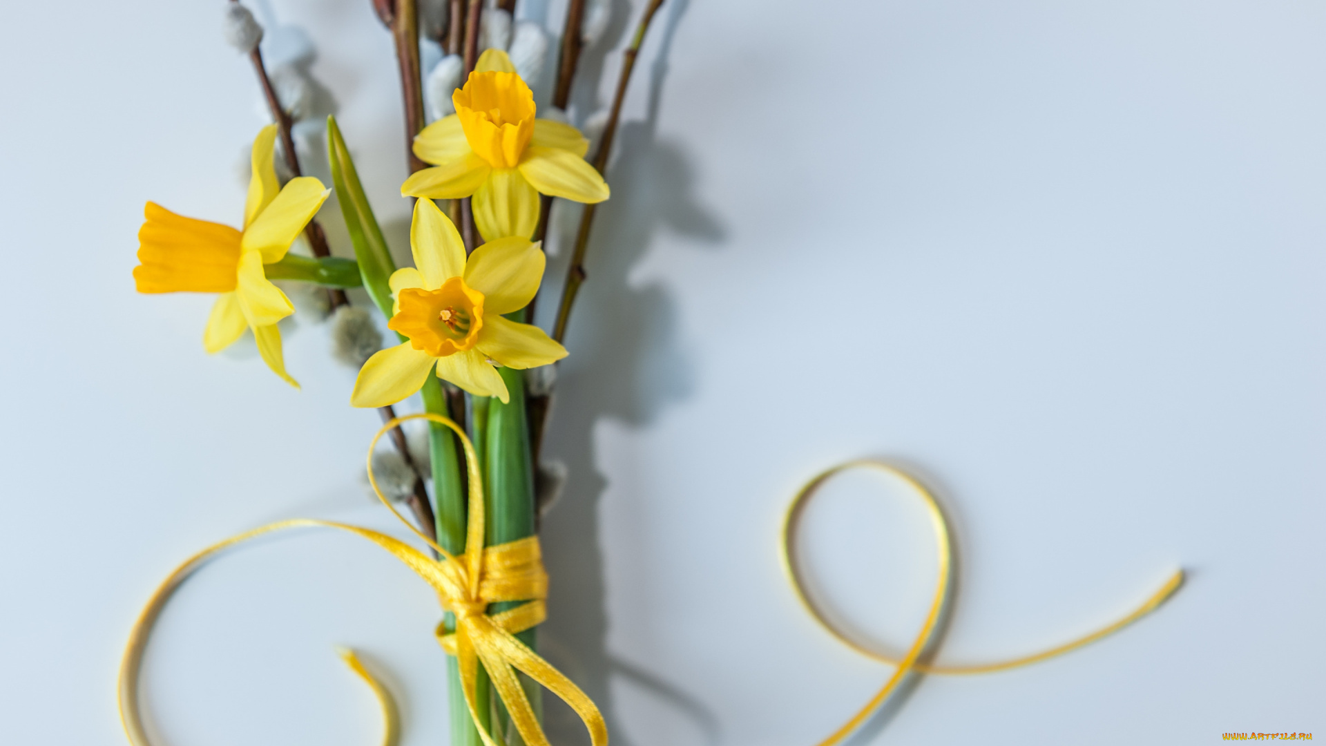 цветы, нарциссы, верба, букет