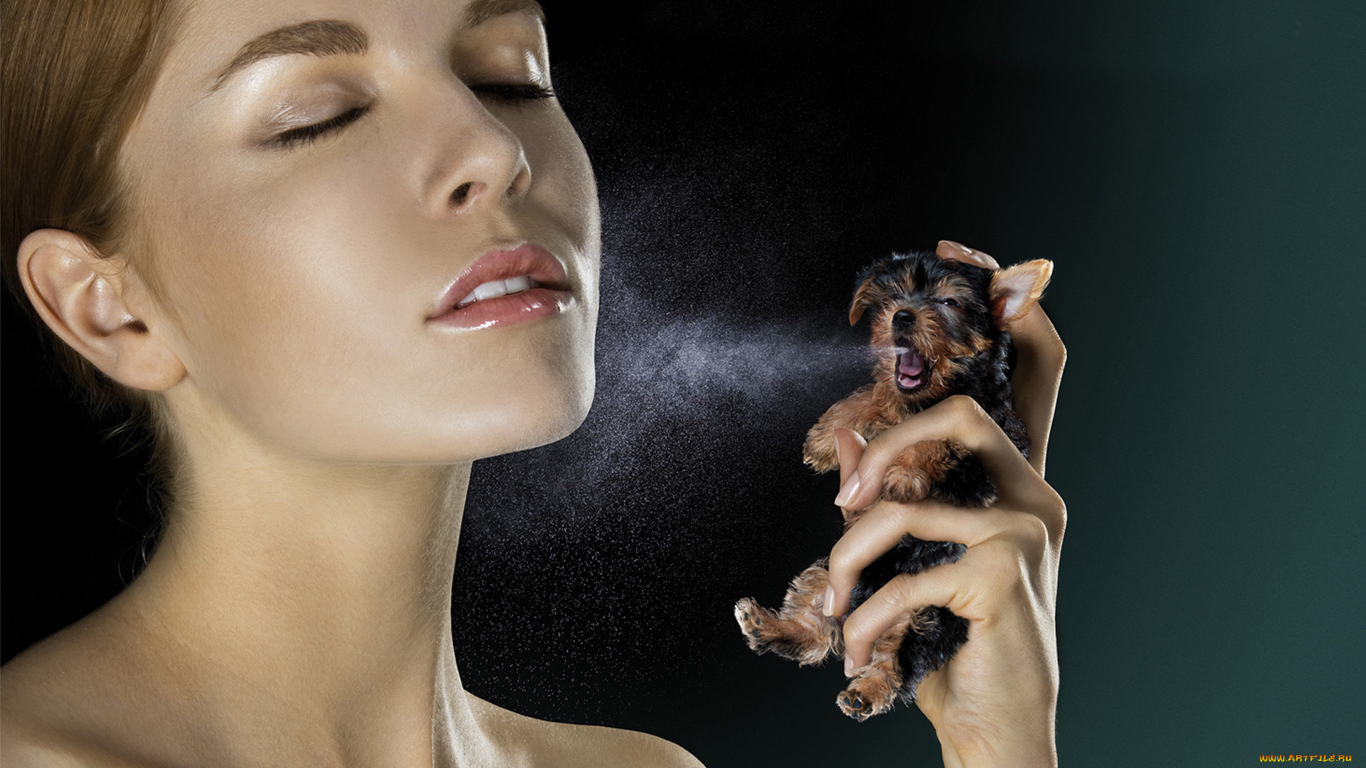 юмор, и, приколы, собака, парфюм, лицо, девушка