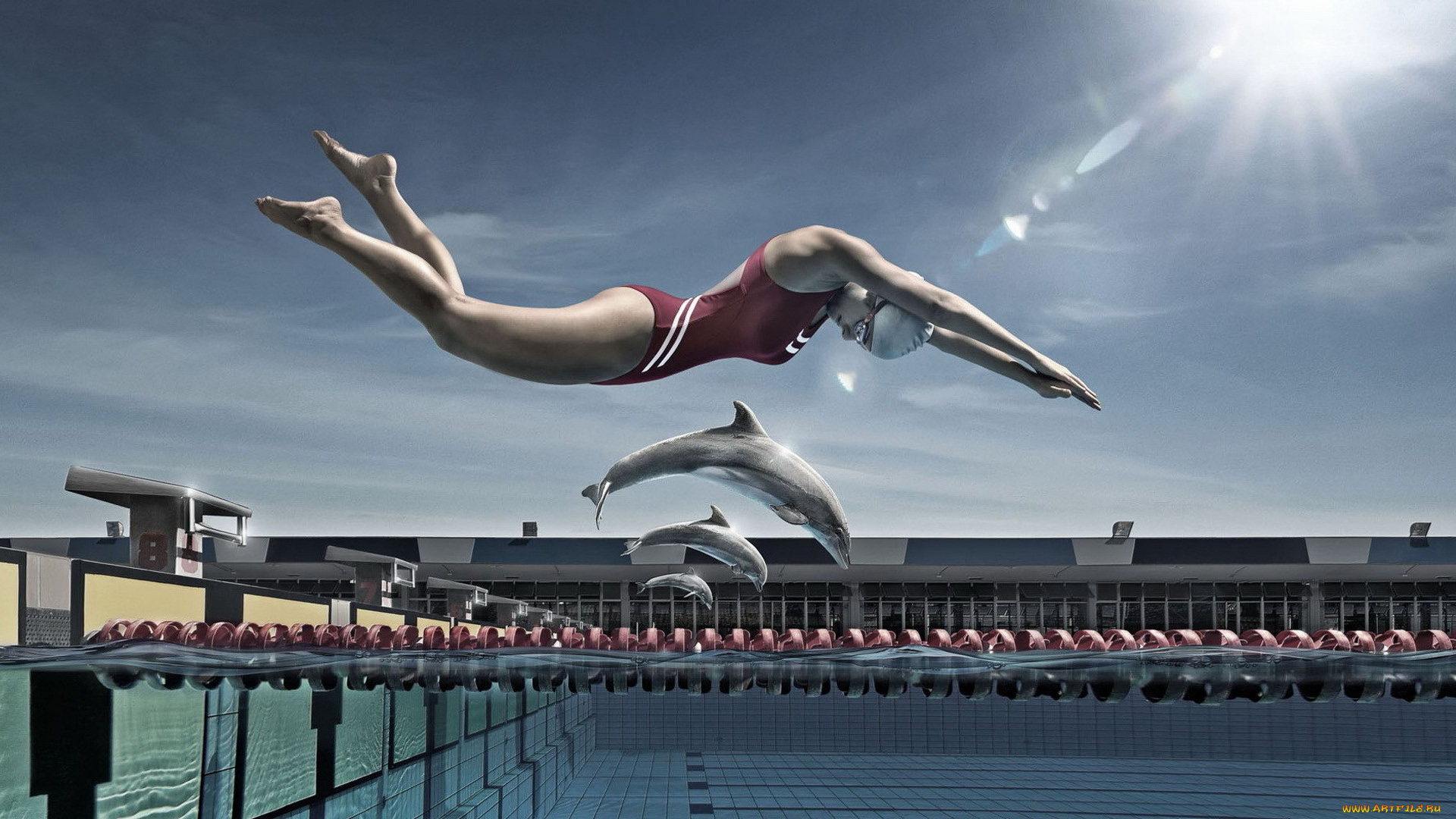 юмор, и, приколы, соревнование, бассейн, девушка, дельфины