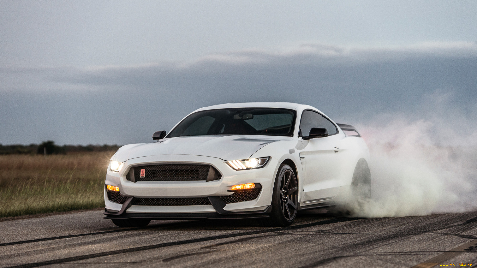 автомобили, mustang