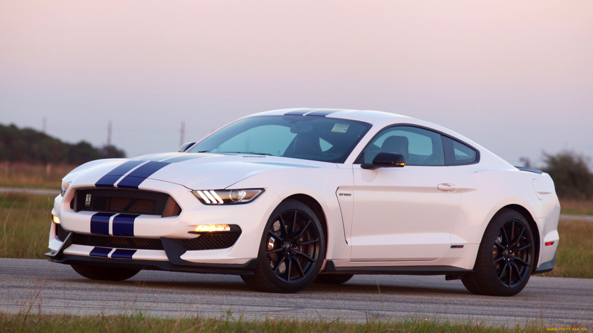 автомобили, mustang