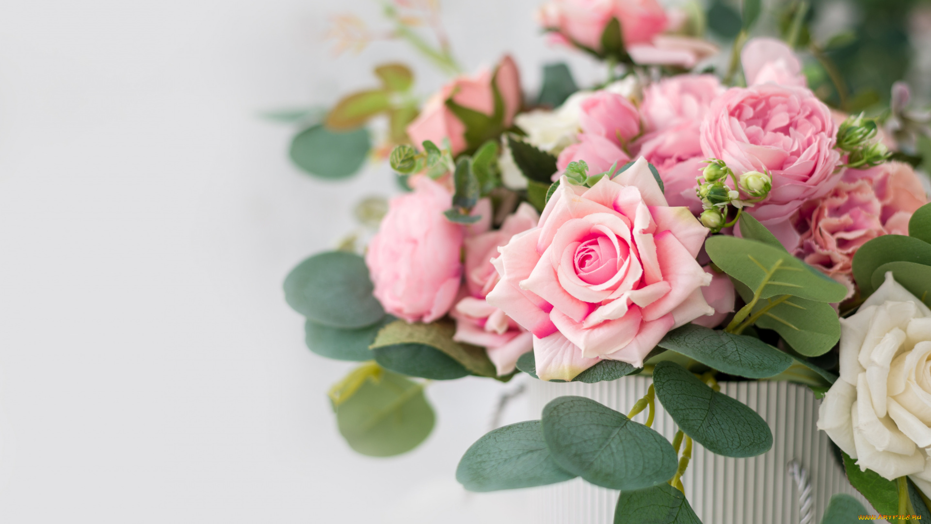 цветы, розы, коробка, букет, розовые, красивые